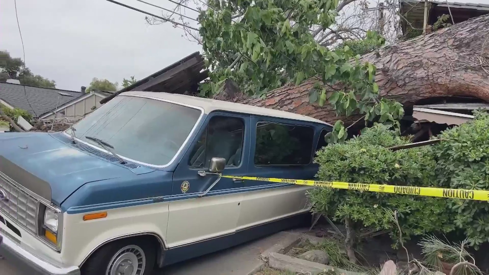 The toppling of a large pine tree left a trail of destruction in Monrovia on May 8, 2024. (KTLA)