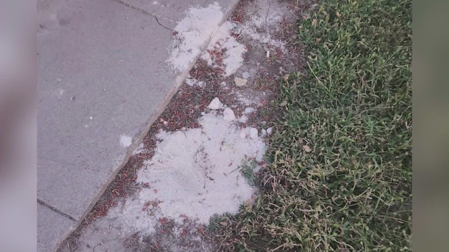 The ashes of several desecrated gravesites were spread on the ground after vandals destroyed the urns. (Medrano Family)