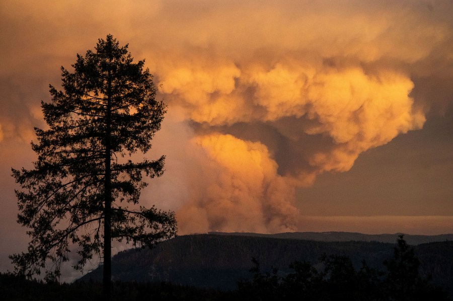 Seen from the Foresthill community in Placer County, Calif., a plume rises from the Mosquito Fire on Thursday, Sept. 8, 2022. (AP Photo/Noah Berger)