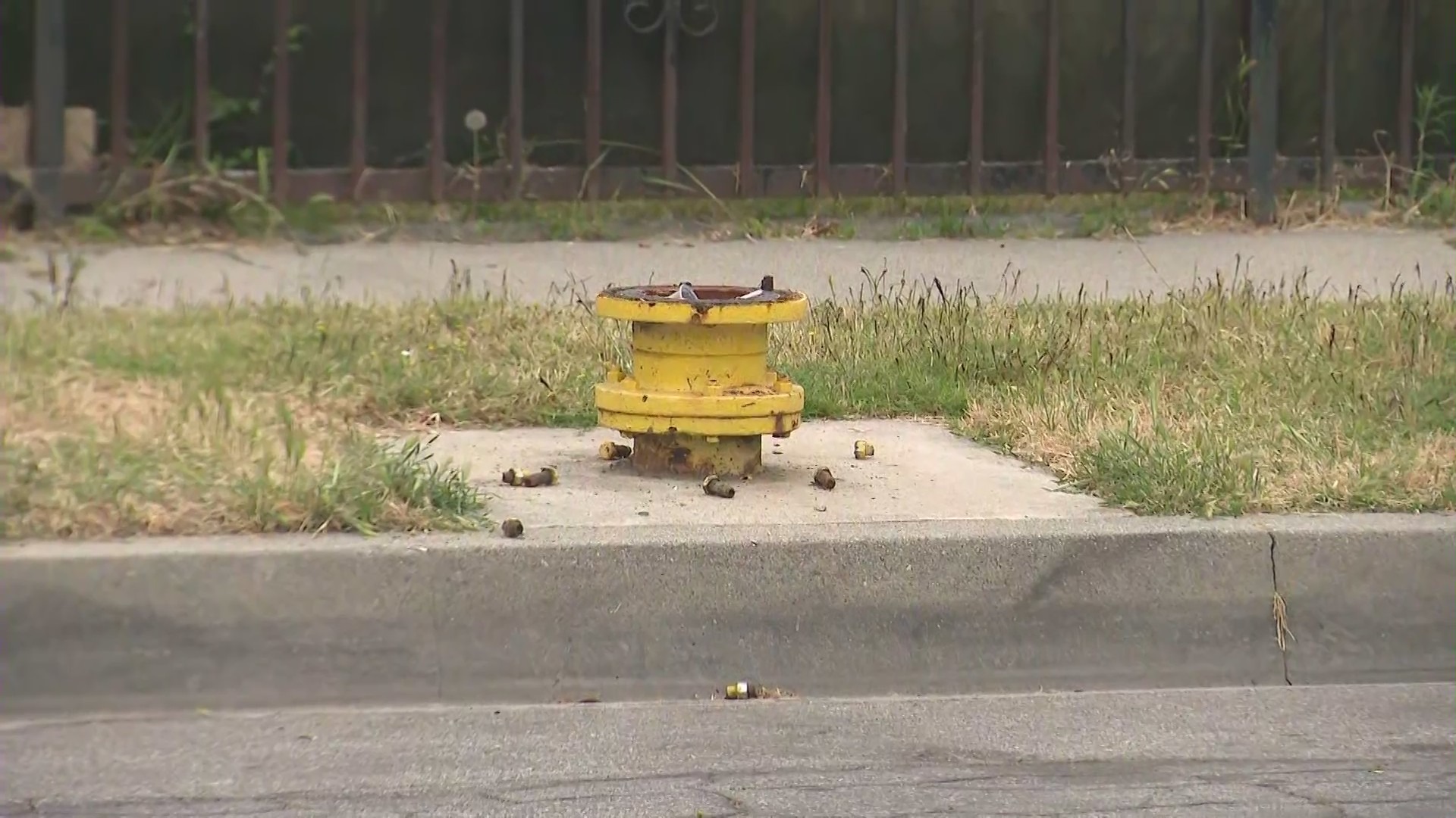 Fire hydrant theft