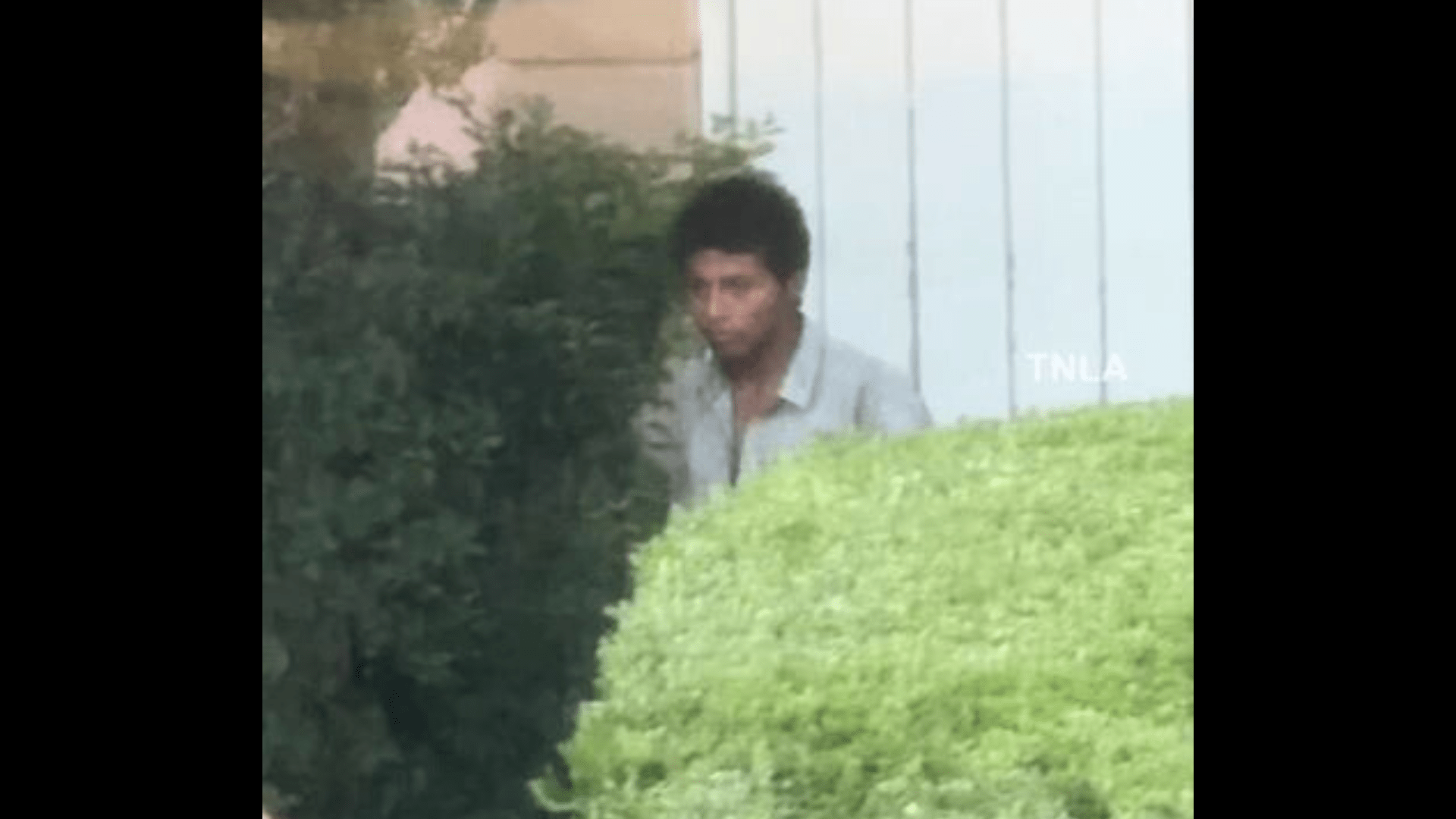 The suspect was seen peering into home windows and backyard gates before reportedly hopping a fence and trespassing onto a property on June 13, 2024. (TNLA)