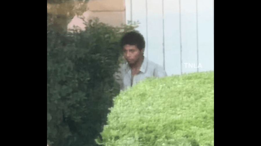 The suspect was seen peering into home windows and backyard gates before reportedly hopping a fence and trespassing onto a property on June 13, 2024. (TNLA)