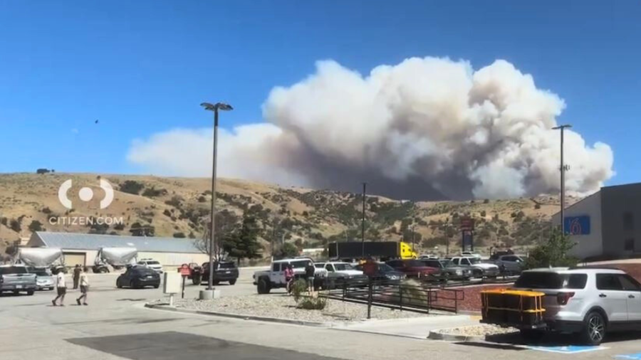 The Post Fire in Gorman is seen burning near the 5 Freeway and forcing evacuations on June 15, 2024. (Citizen)