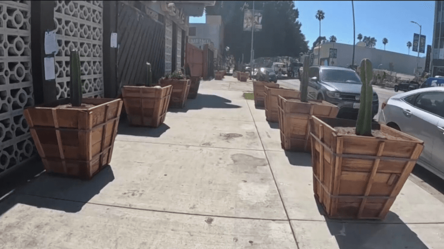 Planters placed in front of Hollywood businesses to deter homeless encampments from growing. (KTLA)