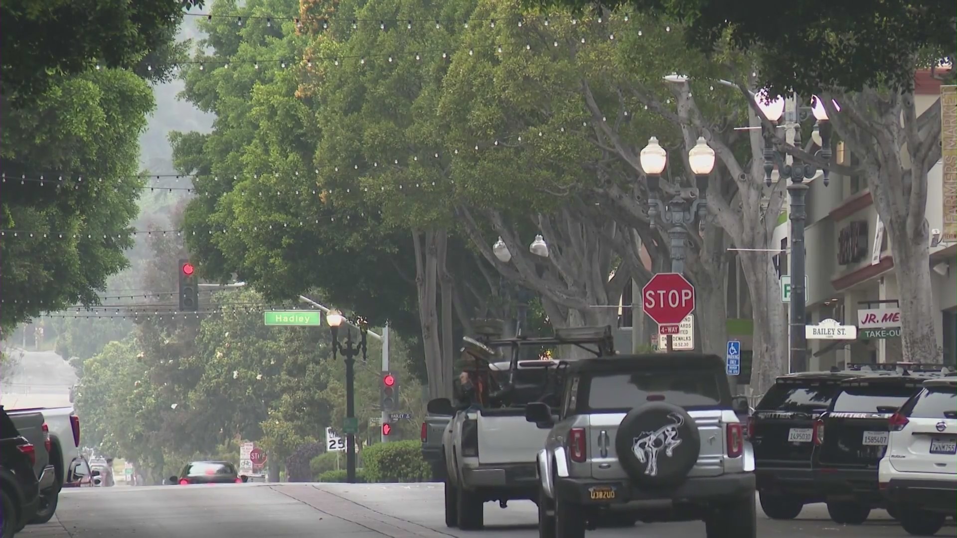 Large ficus trees line Greenleaf Avenue in Uptown Whittier. (KTLA)