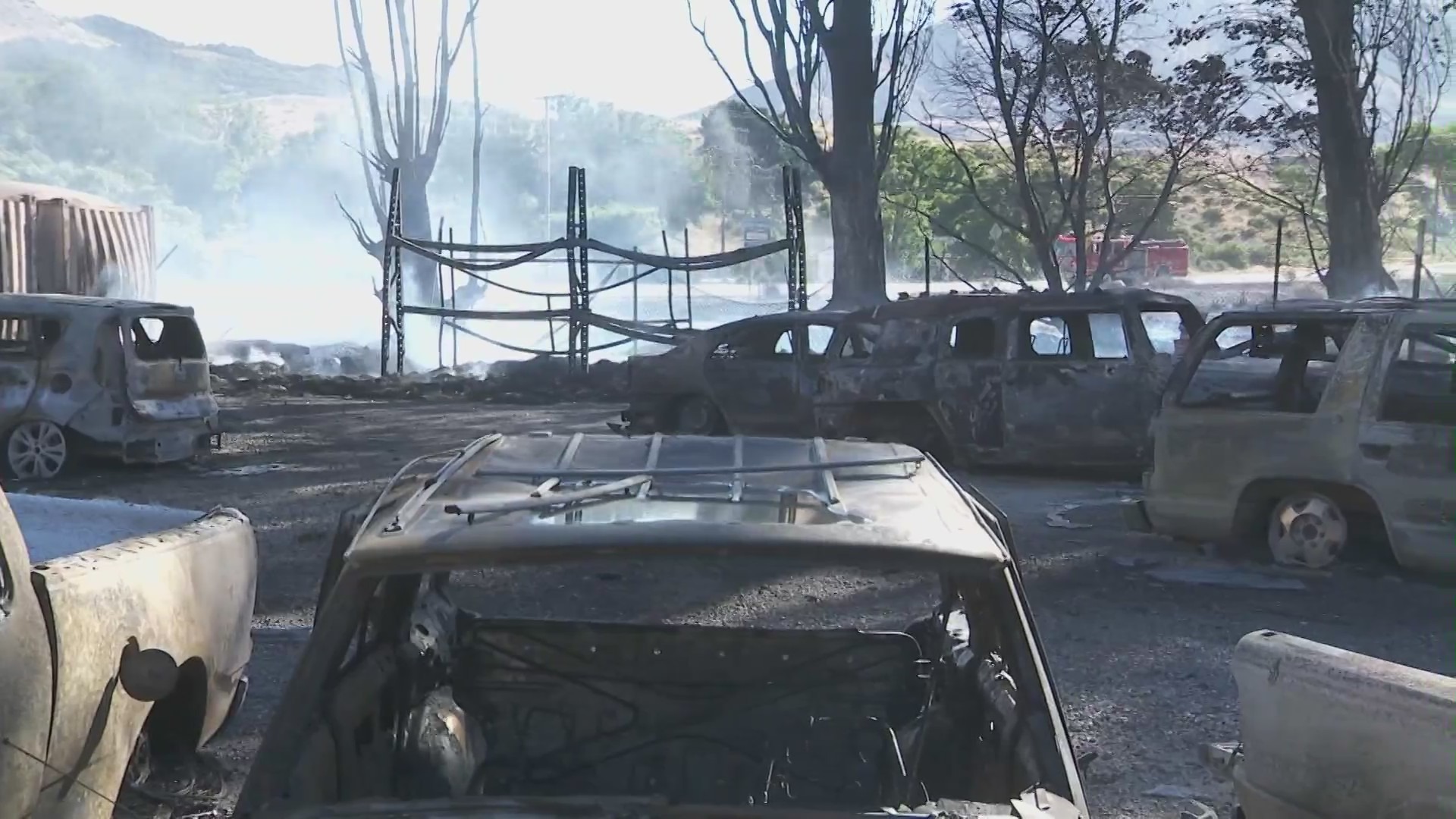 Cars in the parking lot of an auto repair shop were destroyed by a brush fire in Gorman on June 15, 2024. (KTLA)