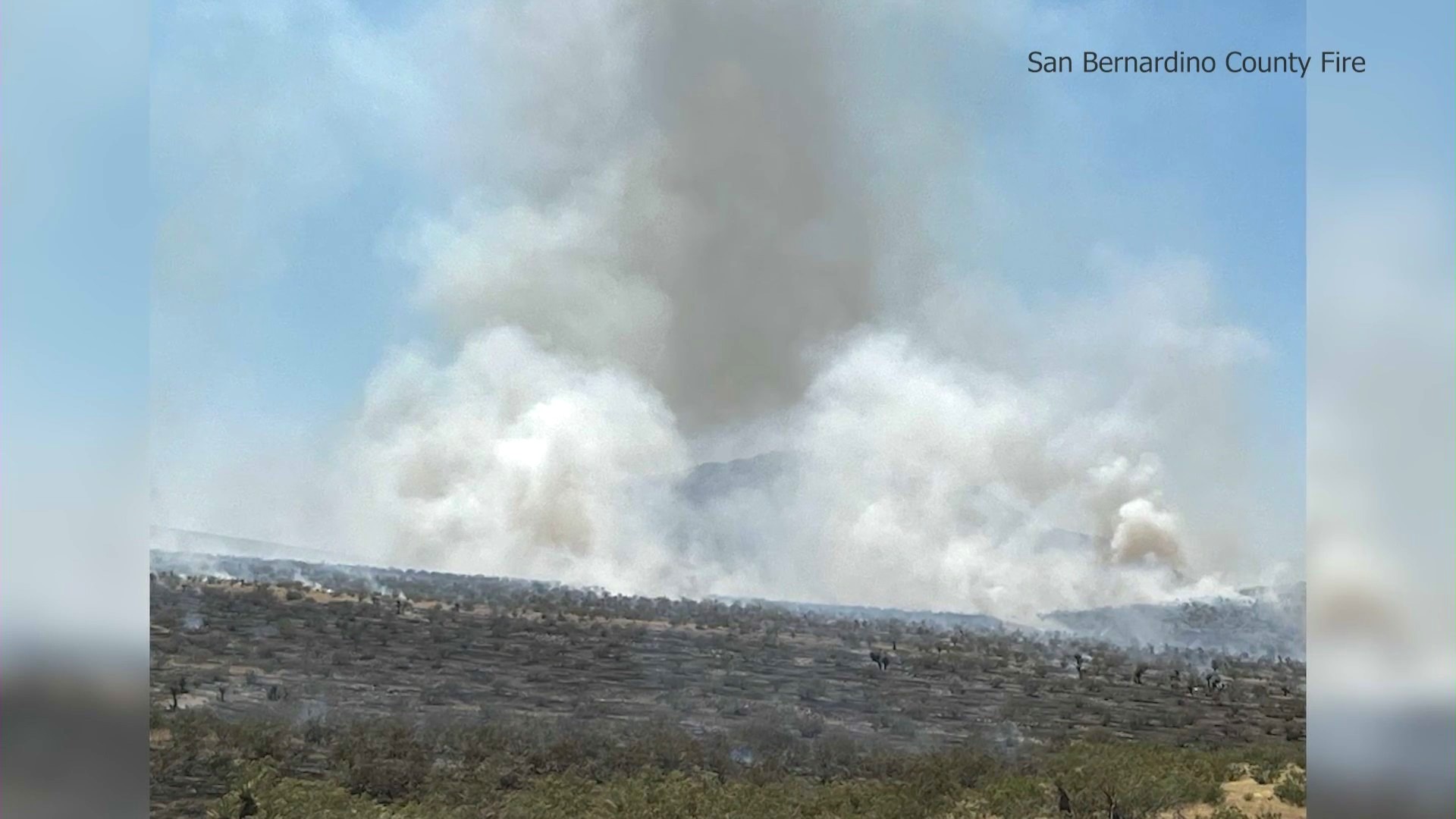 The Stoddard Fire, located about 20 minutes north of Victorville, ignited on June 11, 2024 and expanded to over 500 acres the next day. (San Bernardino County Fire Department)