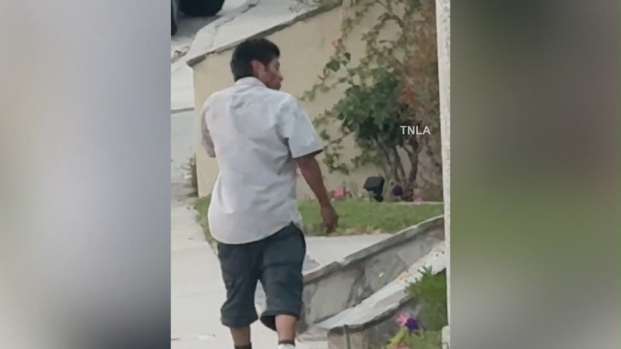 The suspect was seen peering into home windows and backyard gates before reportedly hopping a fence and trespassing onto a property on June 13, 2024. (TNLA)