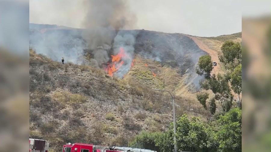 A brush fire at Little Mountain in San Bernardino, a popular hiking area, that burned 20 acres on June 9, 2024. (San Bernardino County Fire Department)