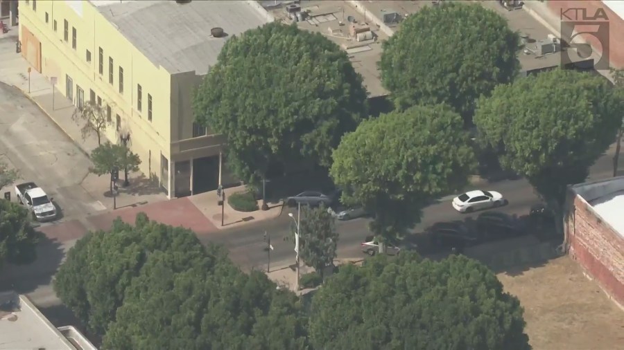 A Sky5 aerial view of the ficus trees in Uptown Whittier. (KTLA)