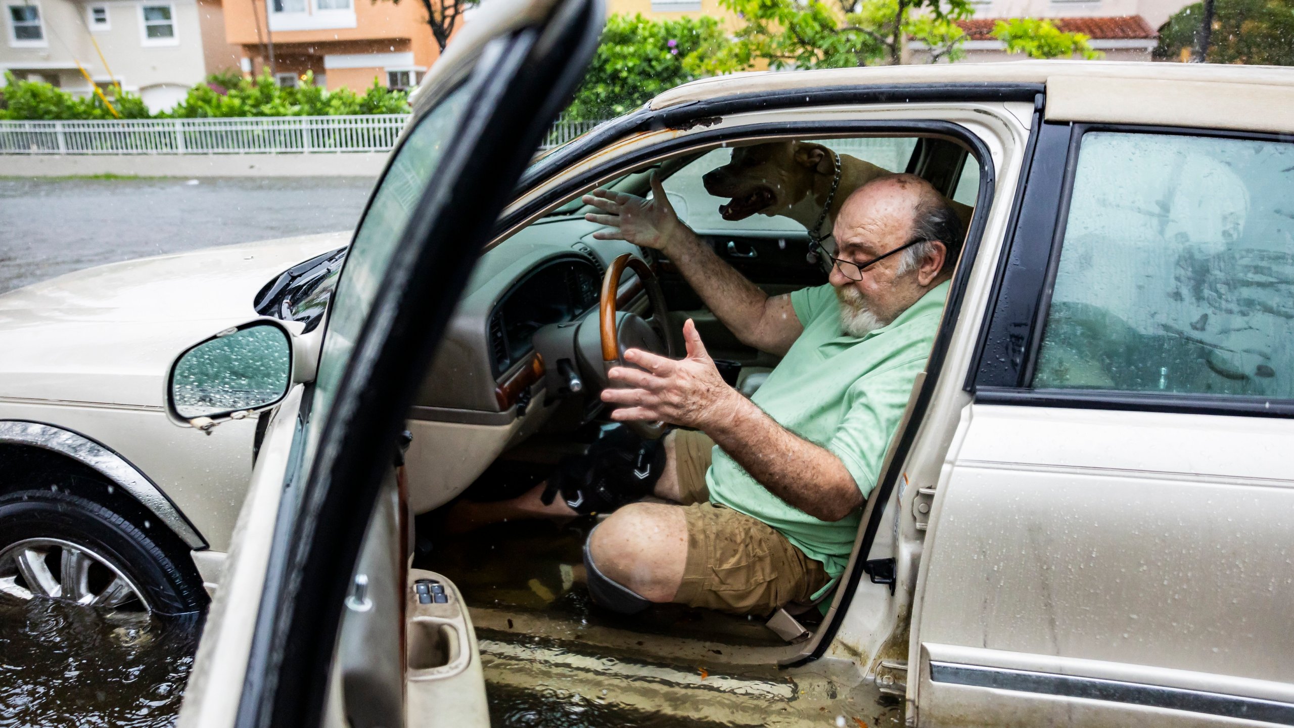 FILE - Mike Viesel and his dog Humi, wait in his flooded car for a tow, June 12, 2024, in Hollywood, Fla. Unlike previous hurricane seasons, this summer brings record hot temperatures nationwide and an early onset of storms. Hurricane season runs June 1 to Nov. 30, but usually the months where most hurricanes have occurred are September and October, said Jaime Hernandez, the emergency management director for Hollywood, on Florida's Atlantic Coast. (Matias J. Ocner/Miami Herald via AP, File)