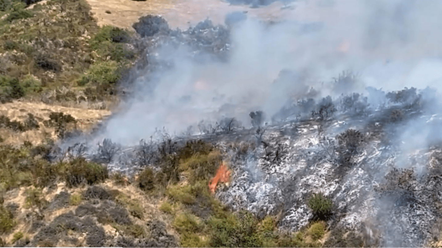 A brush fire has forced officials to issue an evacuation order in Thousand Oaks on Saturday, July 6, 2024. (Robert Navarro)