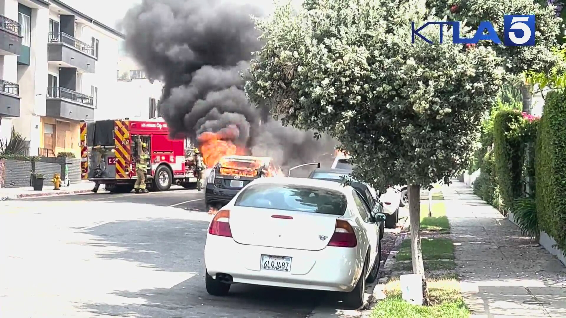 A vehicle was engulfed in flames after a woman set the car on fire during a violent rampage in the Hollywood Hills on July 13, 2024. (KTLA)