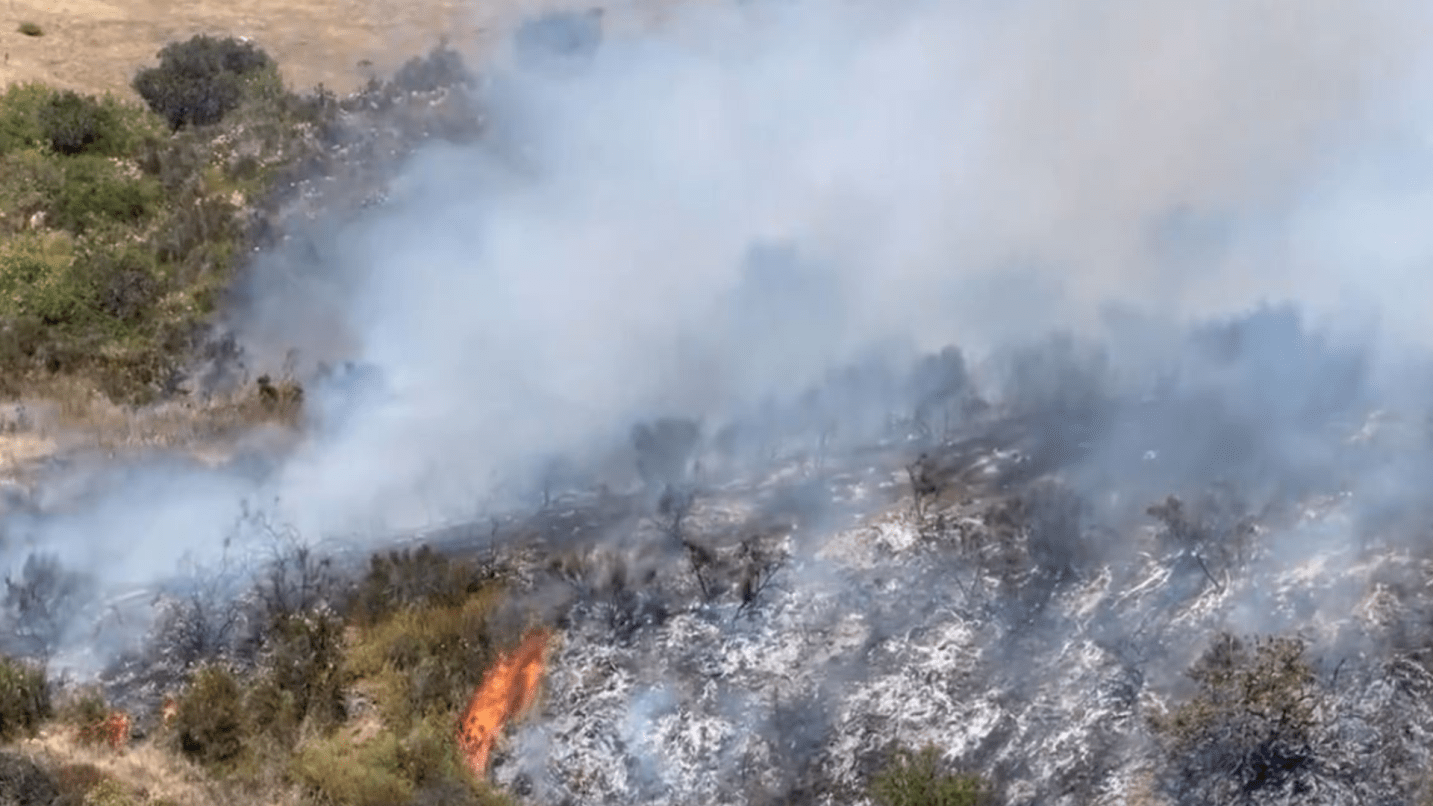 A brush fire has forced officials to issue an evacuation order in Thousand Oaks on Saturday, July 6, 2024. (Robert Navarro)