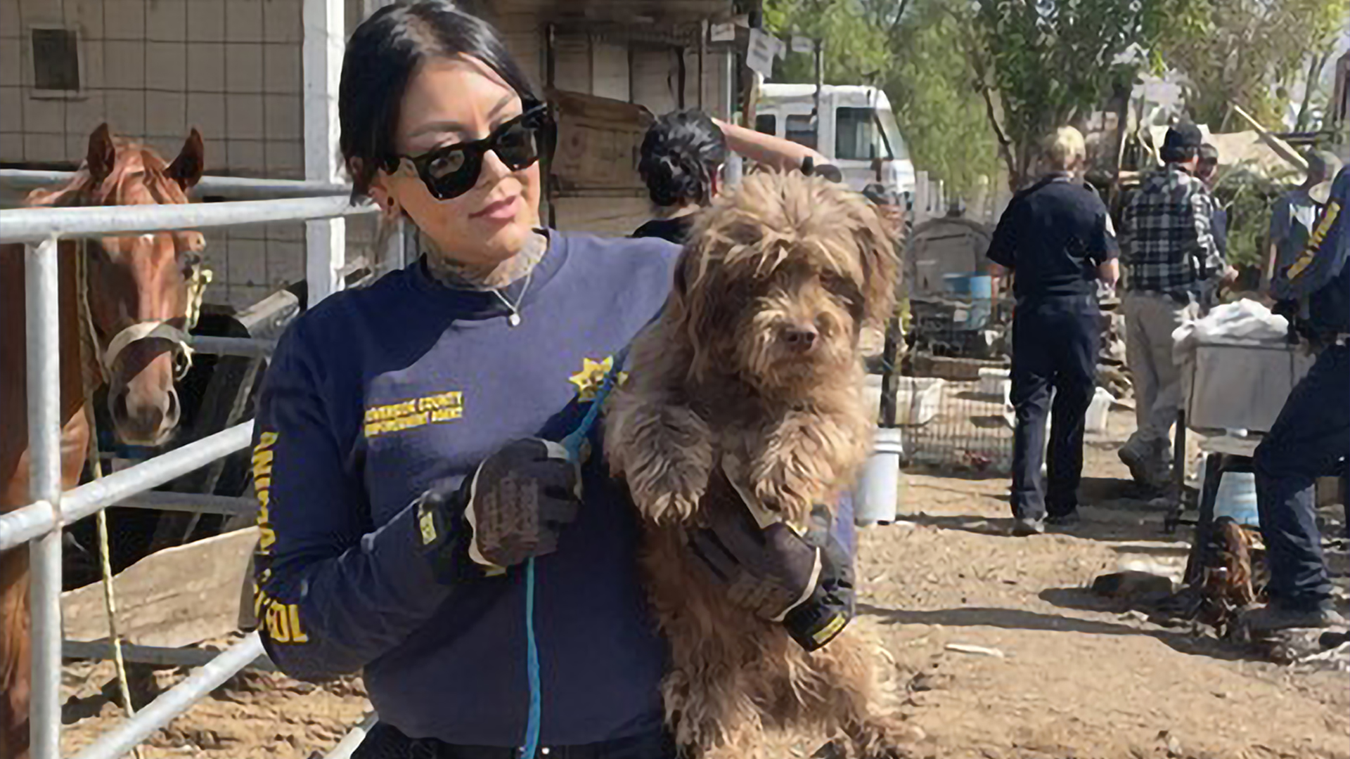 A Riverside County Animal Services officer carries a dog that was rescued from a property in the Coachella Valley on July 22, 2024. (RivCo Animal Services)