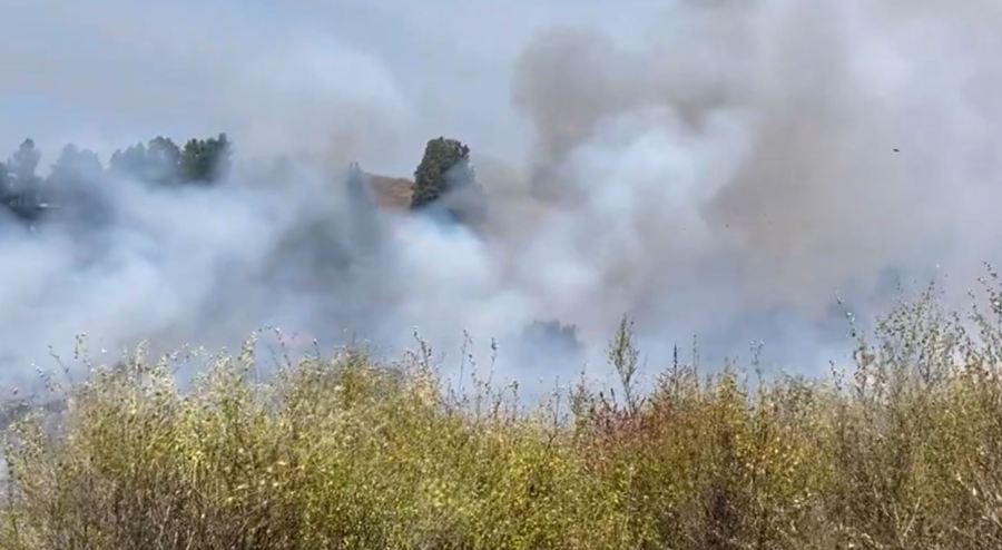 A brush fire has forced officials to issue an evacuation order in Thousand Oaks on Saturday, July 6, 2024. (Robert Navarro)