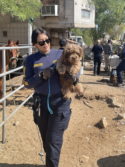 A Riverside County Animal Services officer carries a dog that was rescued from a property in the Coachella Valley on July 22, 2024. (RivCo Animal Services)