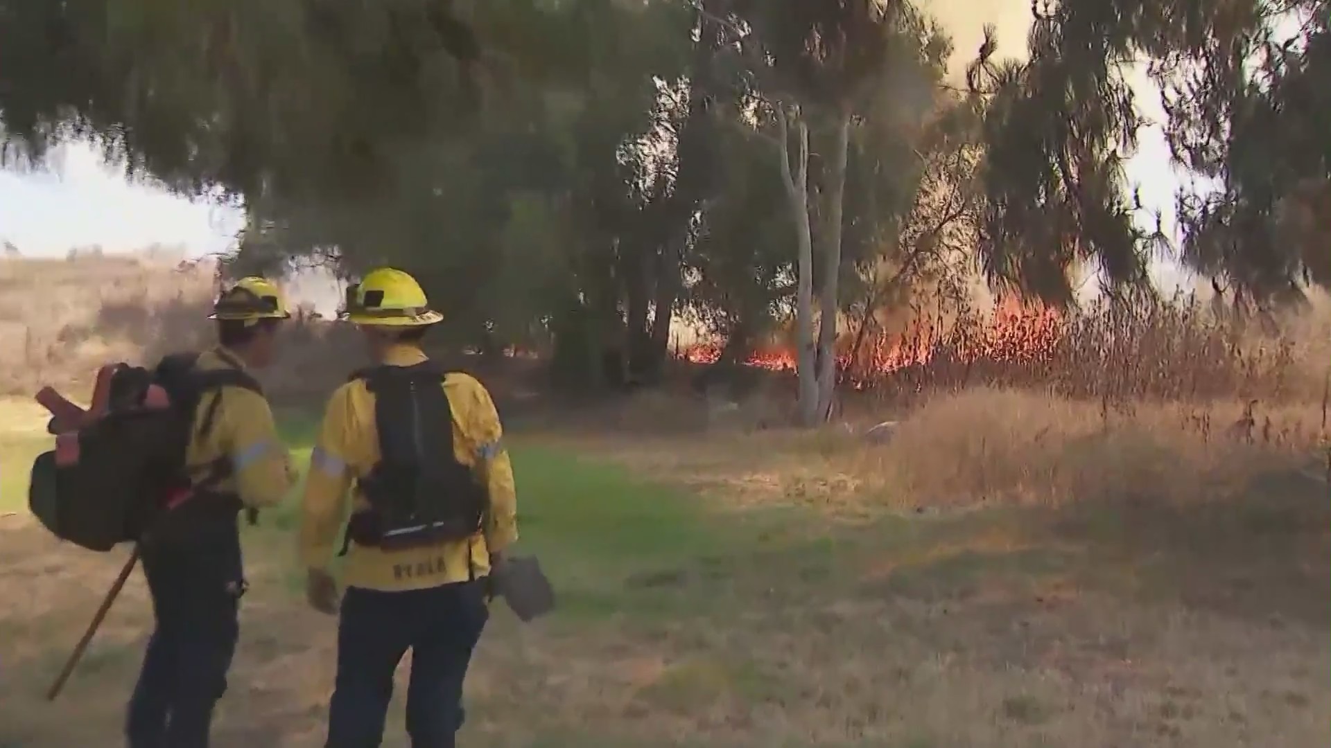 Southern California firefighters battling a brush fire in summer heat. (KTLA)