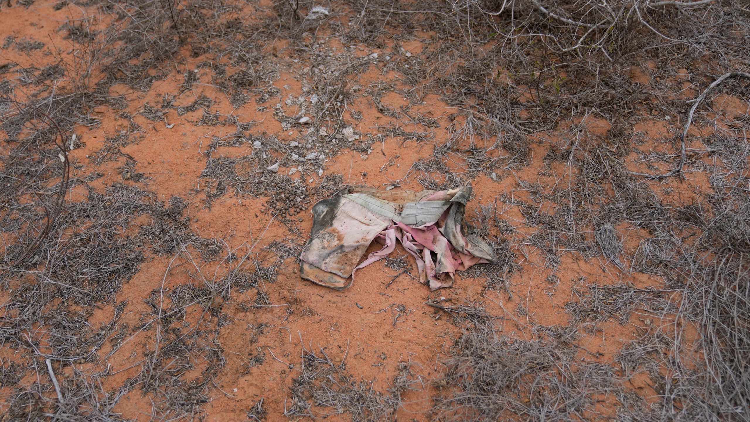 A piece of clothing lies in the bush near the forest where dozens of bodies were found in shallow graves in the village of Shakahola, near the coastal city of Malindi, in southern Kenya, on Thursday, Sept. 5, 2024. (AP Photo/Brian Inganga)