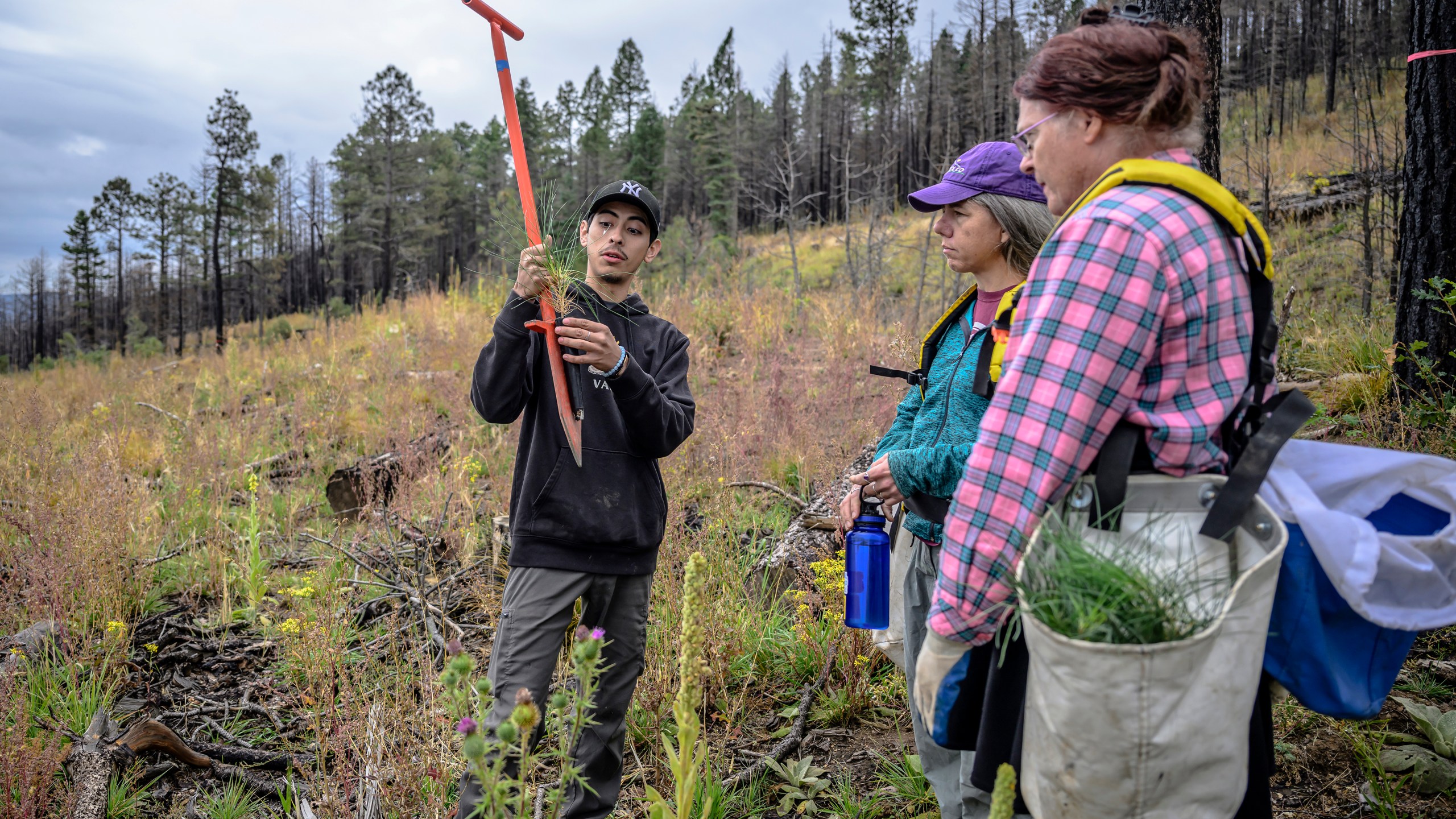 In this photo provided by the The Nature Conservancy, volunteers and members of the Hermit's Peak Watershed Alliance plant seedlings on the Hermit's Peak/Calf Canyon Fire burn scar near Mora, N.M., Saturday, Sept. 21, 2024. Pictured is Estevan Gonzales, left, giving instructions to volunteers Crystal K. Western Ford, center, and Star Ford. (Roberto E. Rosales/The Nature Conservancy via AP)