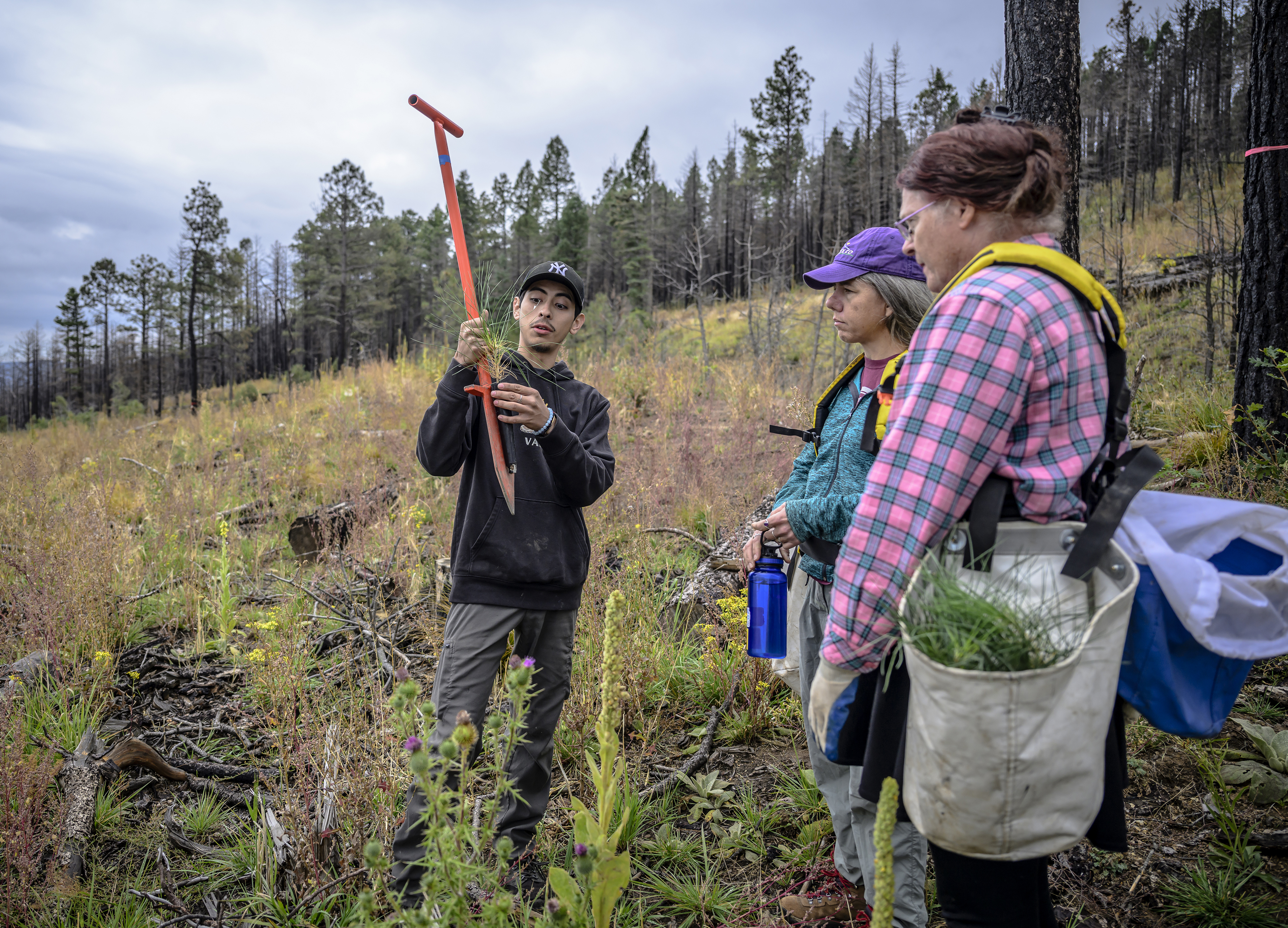 In this photo provided by the The Nature Conservancy, volunteers and members of the Hermit's Peak Watershed Alliance plant seedlings on the Hermit's Peak/Calf Canyon Fire burn scar near Mora, N.M., Saturday, Sept. 21, 2024. Pictured is Estevan Gonzales, left, giving instructions to volunteers Crystal K. Western Ford, center, and Star Ford. (Roberto E. Rosales/The Nature Conservancy via AP)