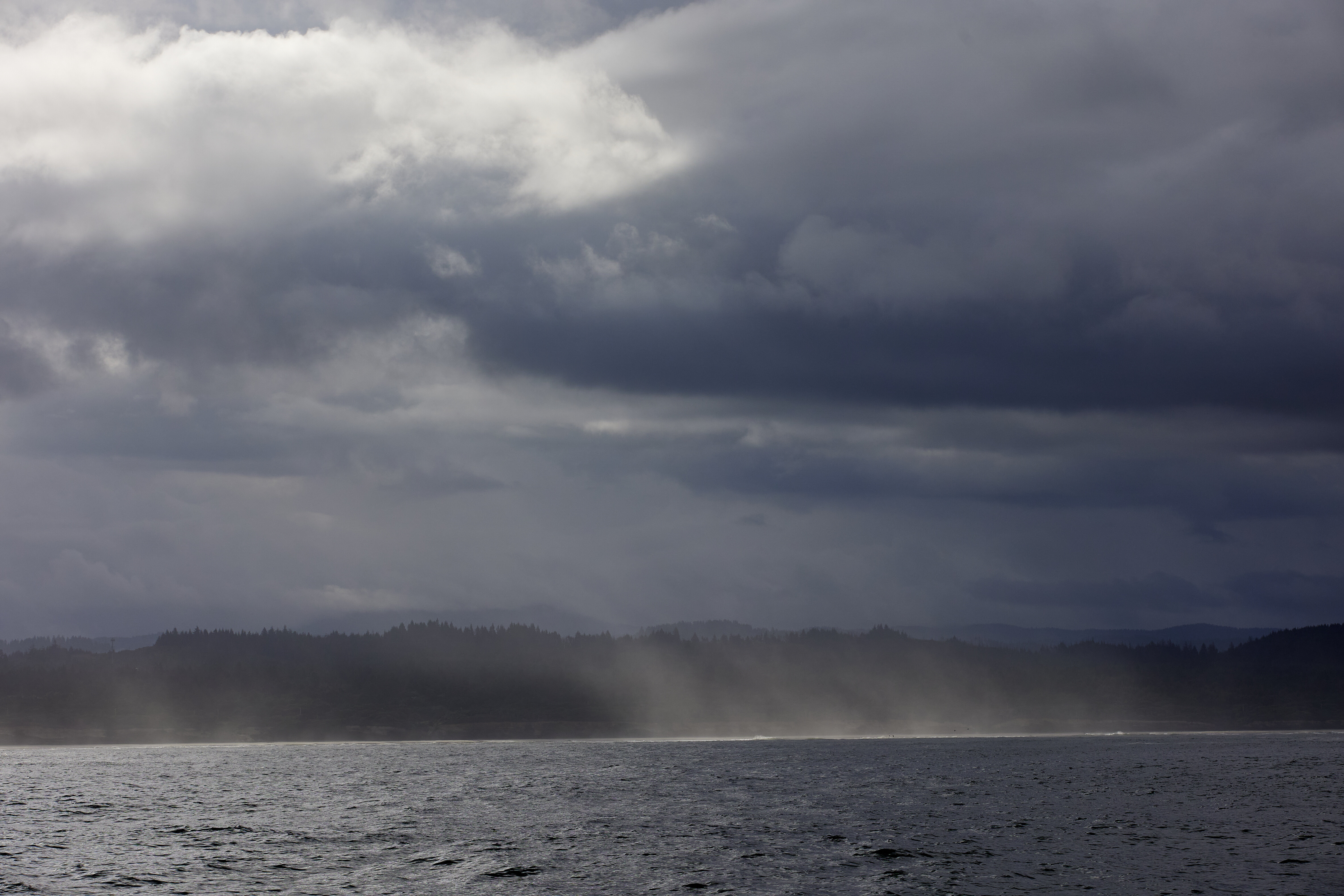 The city of Newport is seen from the Pacific Ocean near the wave energy test site in Newport, Ore., Friday, Aug. 23, 2024. The coastal waters of Oregon are shaping up to be key for advances in two forms of renewable energy: wave power and wind turbines that float. (AP Photo/Craig Mitchelldyer)