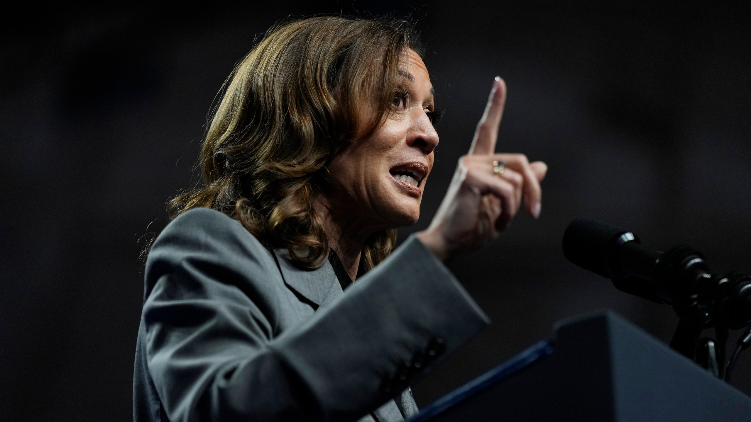 Democratic presidential nominee Vice President Kamala Harris speaks during a rally, Friday, Sept. 20, 2024, in Madison, Wis. (AP Photo/Charlie Neibergall)