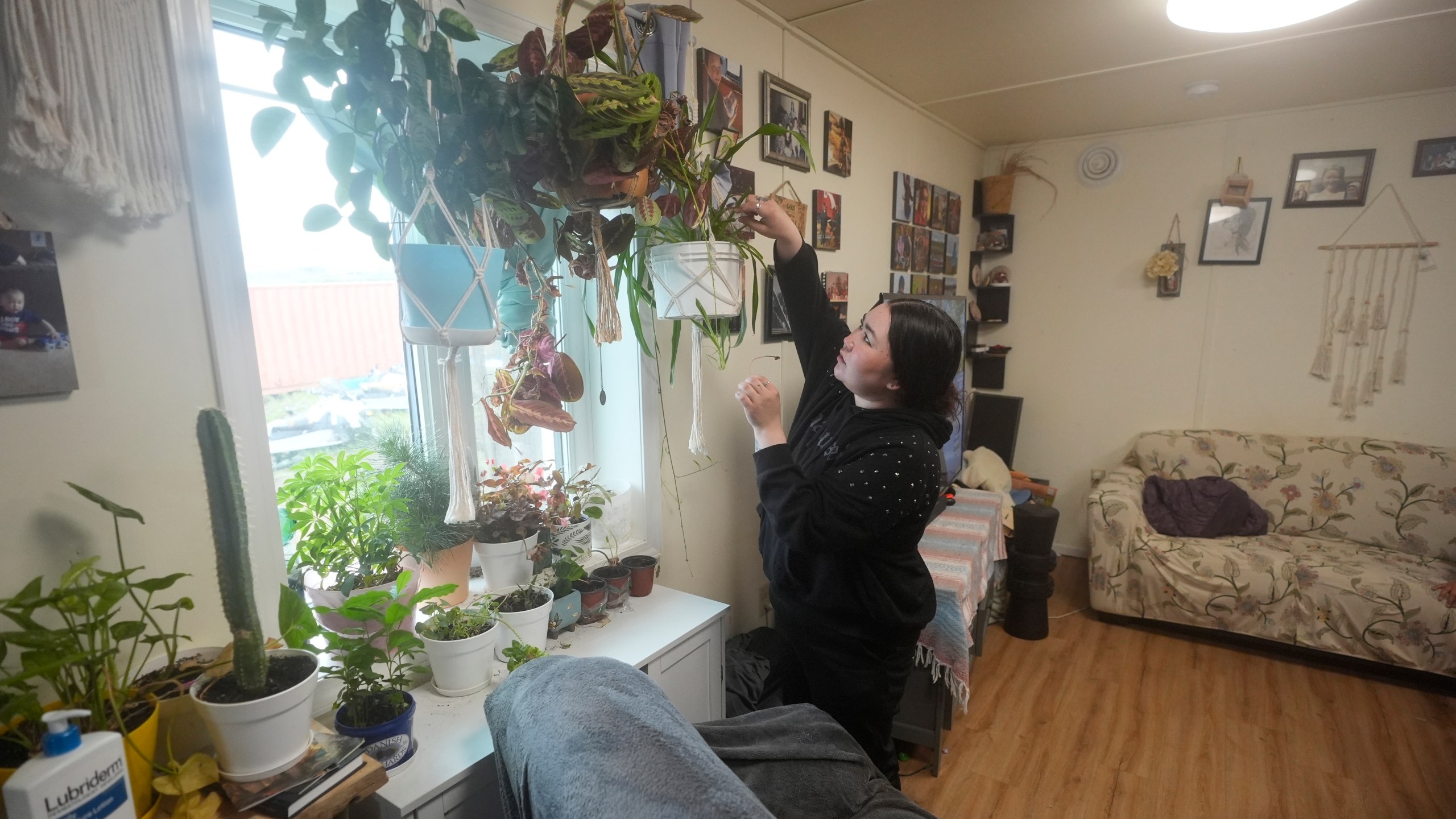 Ashley Tom tends to her plants at her home in Mertarvik, Alaska, Thursday, Aug. 15, 2024. (AP Photo/Rick Bowmer)