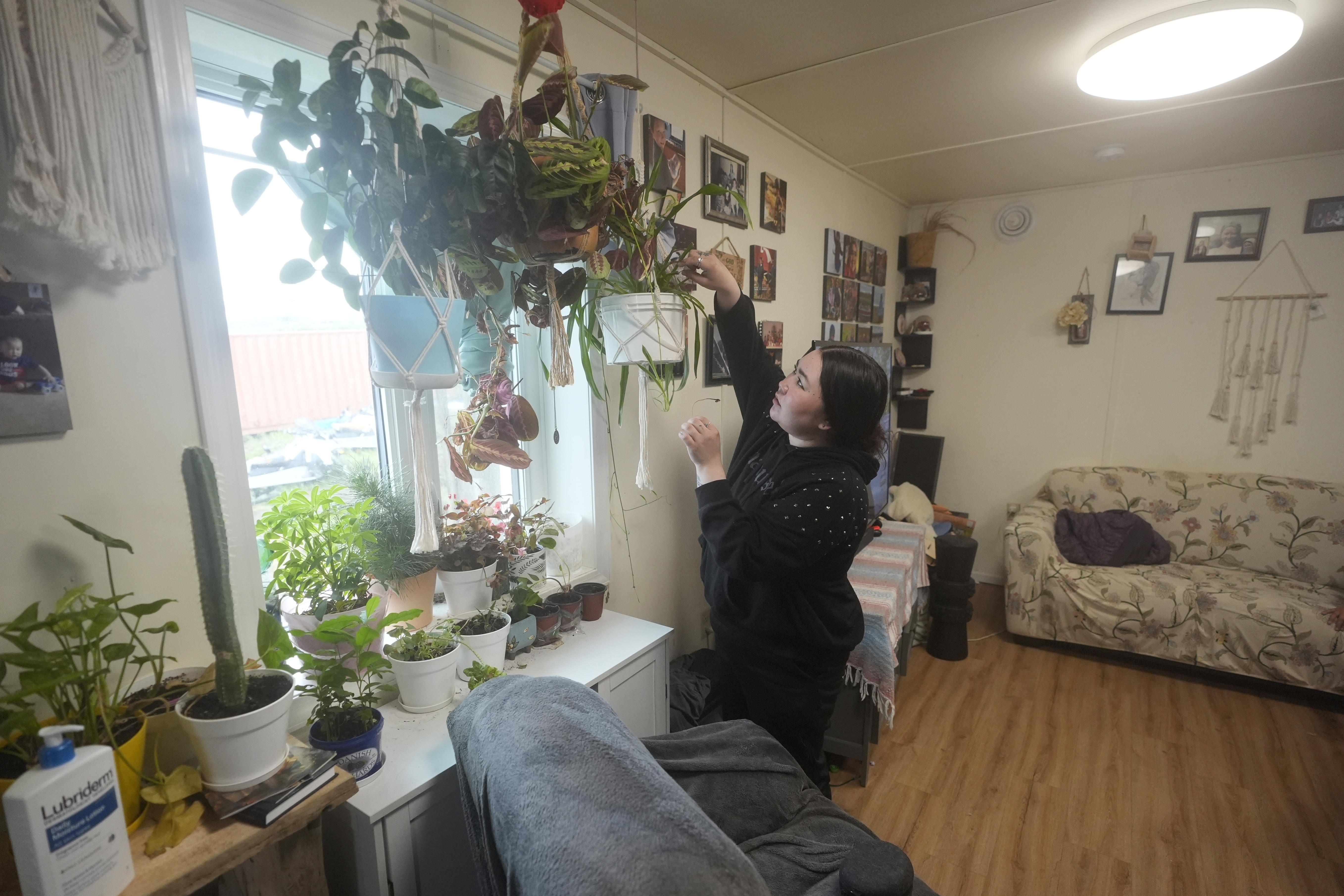 Ashley Tom tends to her plants at her home in Mertarvik, Alaska, Thursday, Aug. 15, 2024. (AP Photo/Rick Bowmer)