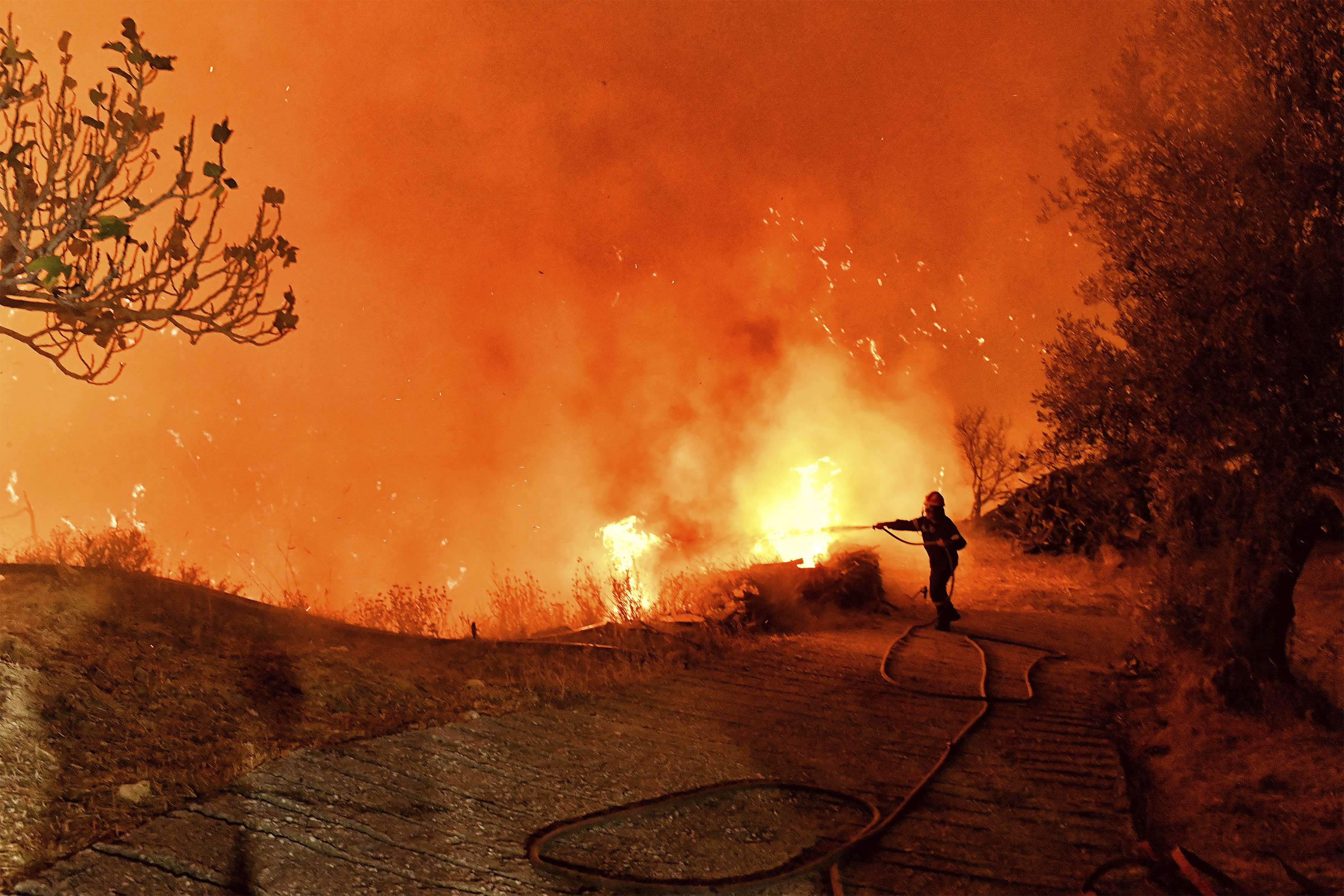 A firefighter tries to extinguish the flames near the village of Kallithea as fanned by strong winds raged uncontrolled despite the attempts of the authorities to stop the wildfire, some 149 kilometers (93 miles) west of Athens, Greece, in the region of Corinthia, late Sunday, Sept. 29, 2024. (AP Photo)