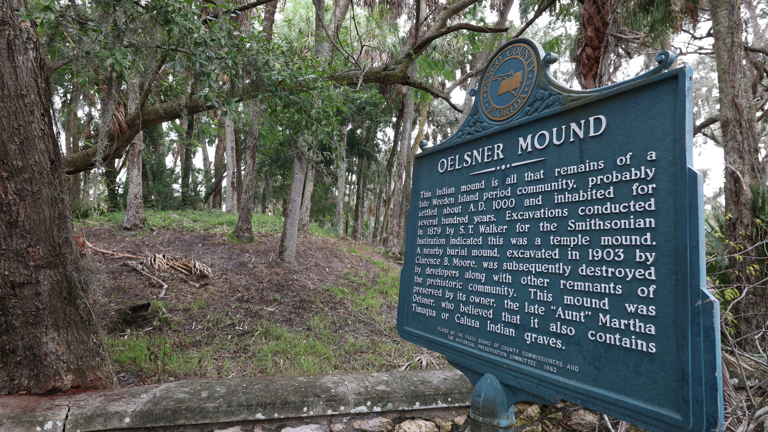 A view of the Oelsner Indian Mound in preparation for Hurricane Milton on Monday, Oct. 7, 2024, in Port Richey, Fla. Local legend in the Tampa area is that Indian mounds help steer hurricanes away from the area. (AP Photo/Mike Carlson)