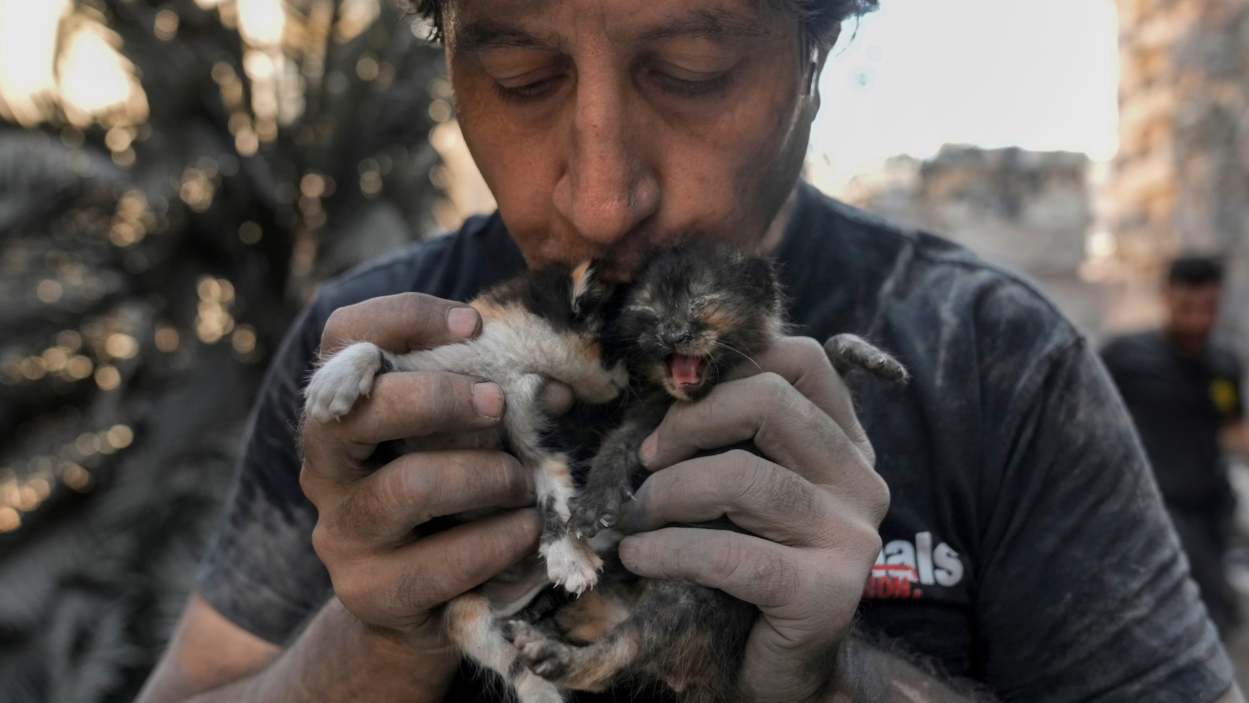 Kamal Khatib, a volunteer with the Animals Lebanon rescue group, kisses kittens after rescuing them from debris of destroyed buildings at the site of Thursday's Israeli airstrike, in Beirut, Lebanon, Friday, Oct. 11, 2024. (AP Photo/Bilal Hussein)