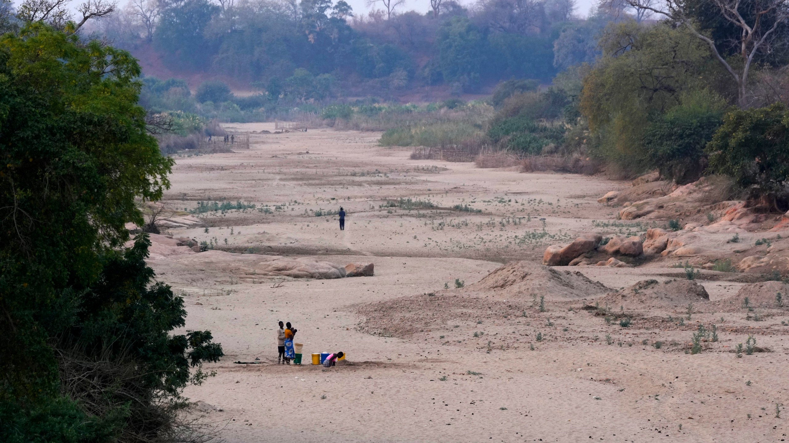 A women scoops water from a hole she has dug in a dried up riverbed in Lusitu, Zambia, Wednesday, Sept. 18, 2024. (AP Photo/Themba Hadebe)