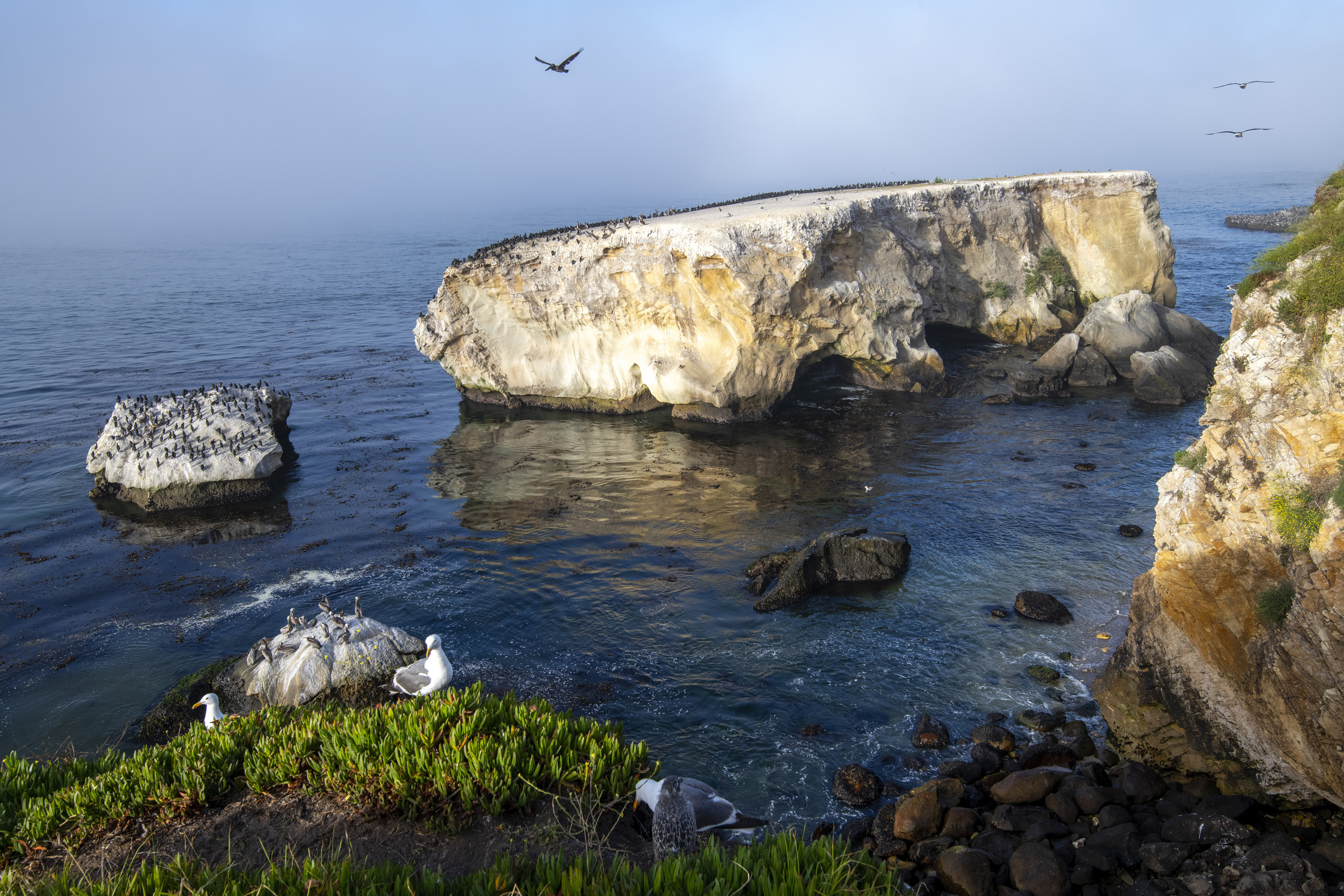 Chumash Heritage National Marine Sanctuary, Seabird Rock near Dinosaur Caves Park, Pismo Beach, Calif. on Monday, October. 14, 2024. (Robert Schwemmer via AP)