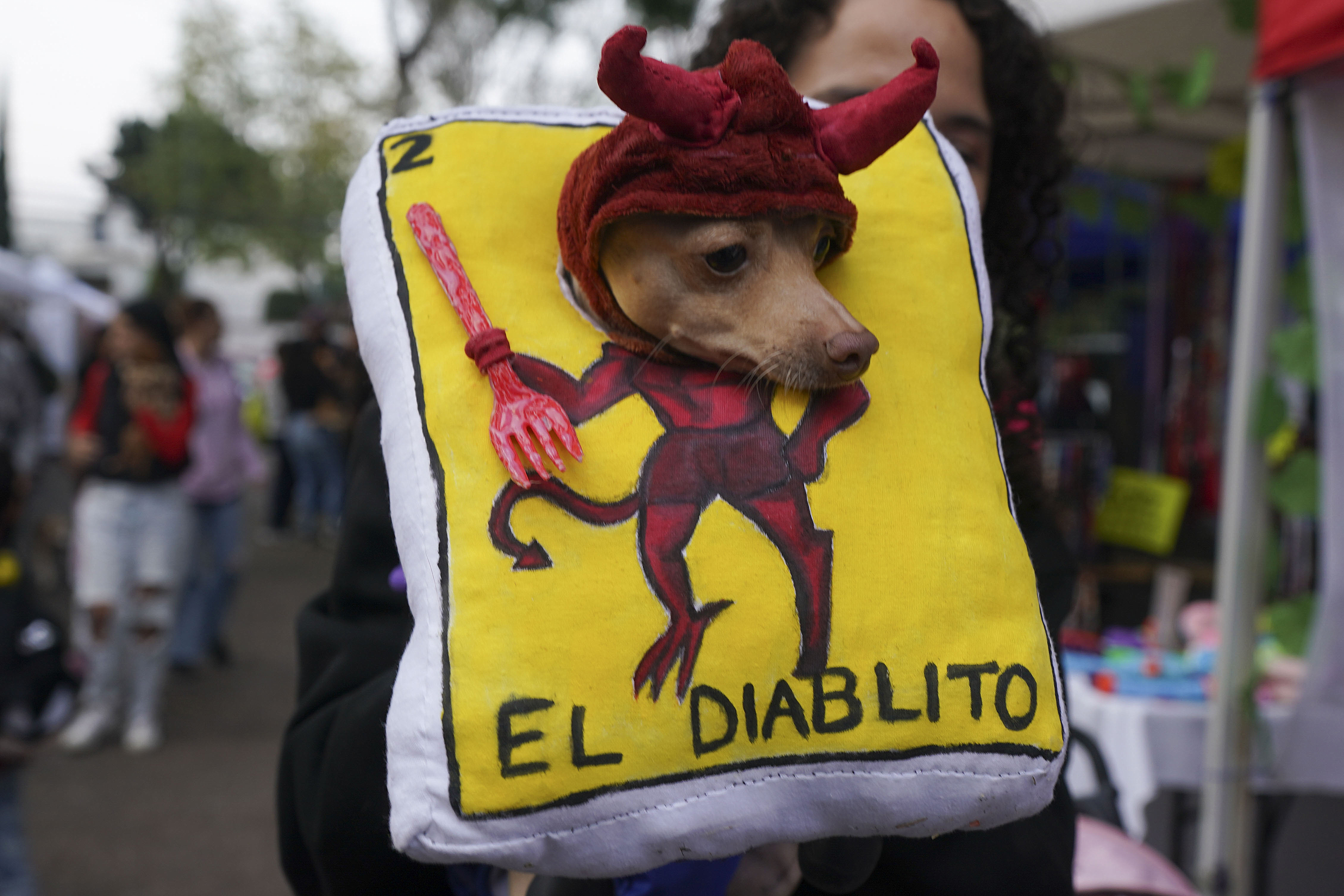 An owner shows off her pet dressed as a Lotería game card during a pet costume contest as part of the Day of the Dead festivities, in Mexico City, Sunday, Oct. 27, 2024. (AP Photo/Fabiola Sanchez)