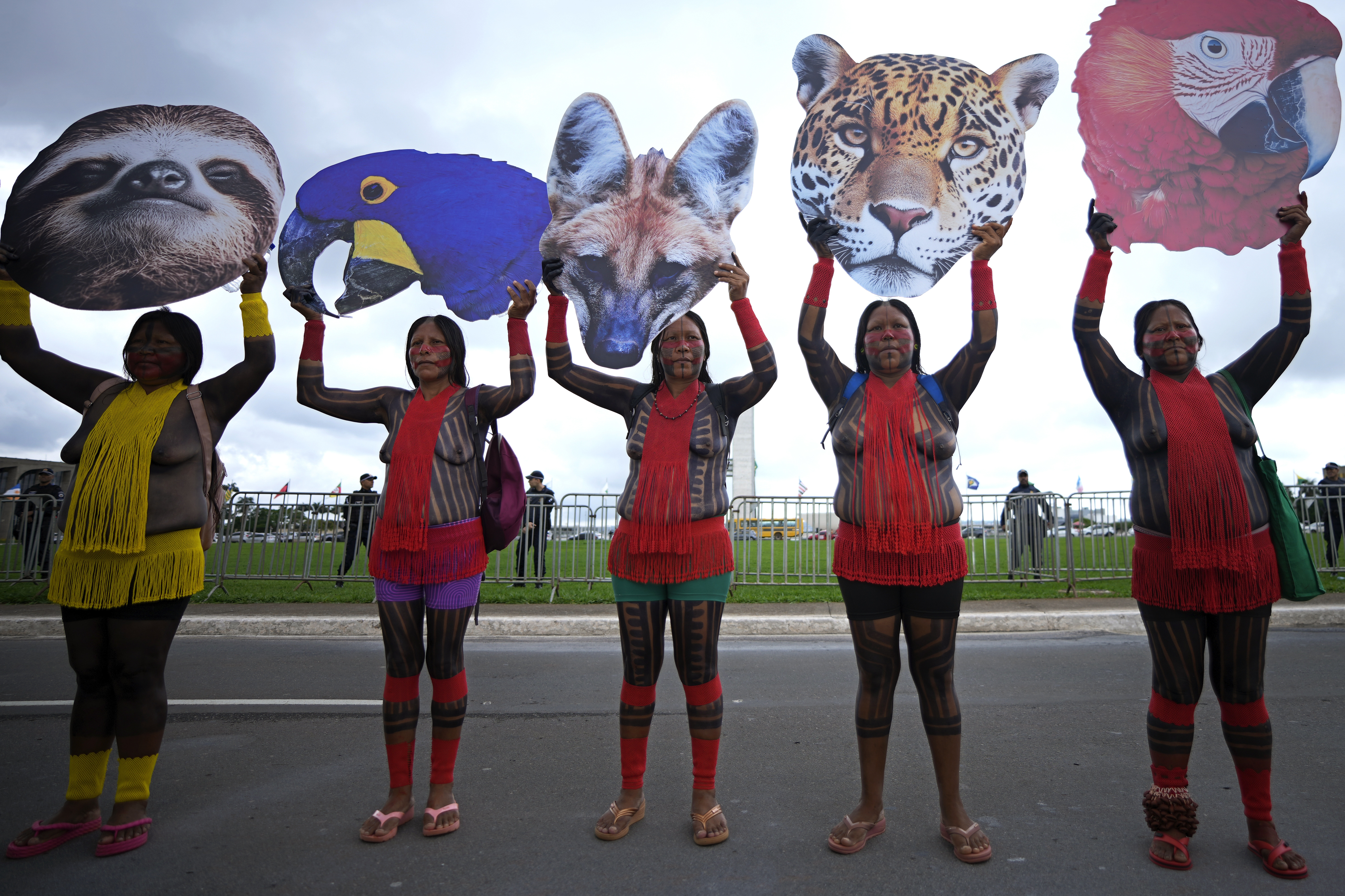 Indigenous women hold up cutouts of animals representing biodiversity, during a protest against a proposed constitutional amendment that threatens some of their land rights, in Brasilia, Brazil, Wednesday, Oct. 30, 2024. (AP Photo/Eraldo Peres)