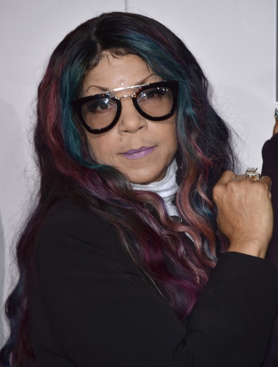 FLE - Tyka Nelson, sister of the late musician Prince, appears at the American Music Awards on Nov. 20, 2016, in Los Angeles. Nelson, Prince’s only full sibling, died Monday. She was 64. Her son President Nelson says she died at a hospital in Robbinsdale, Minnesota. A cause of death was not immediately available. (Photo by Jordan Strauss/Invision/AP, File)