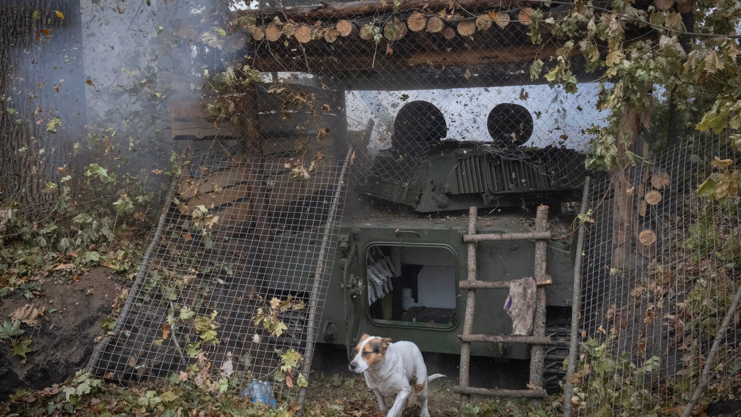 A dog reacts as self-propelled artillery howitzer "Gvozdika" fires towards Russian positions on the frontline in the Kharkiv region, Ukraine, Thursday, Nov. 7, 2024. (AP Photo/Efrem Lukatsky)