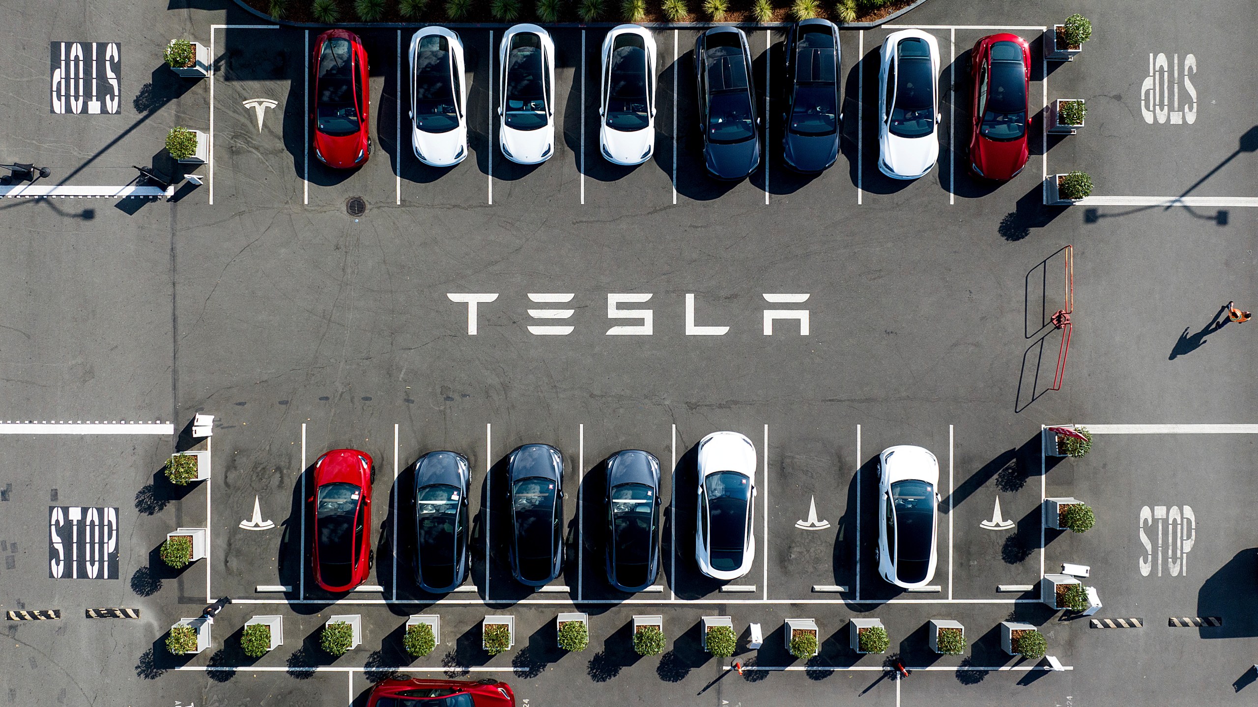 FILE - Tesla vehicles line a parking lot at the company's Fremont, Calif., factory, on Sept. 18, 2023. (AP Photo/Noah Berger, File)