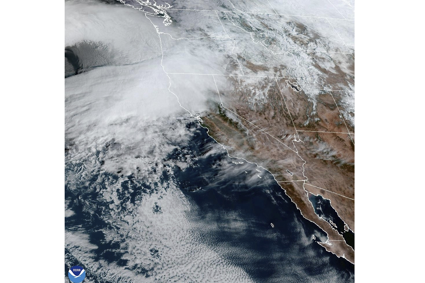 This satellite image taken, Nov. 19, 2024, and provided by NOAA, shows weather gathering in northern California and the Pacific Northwest. (NOAA via AP)