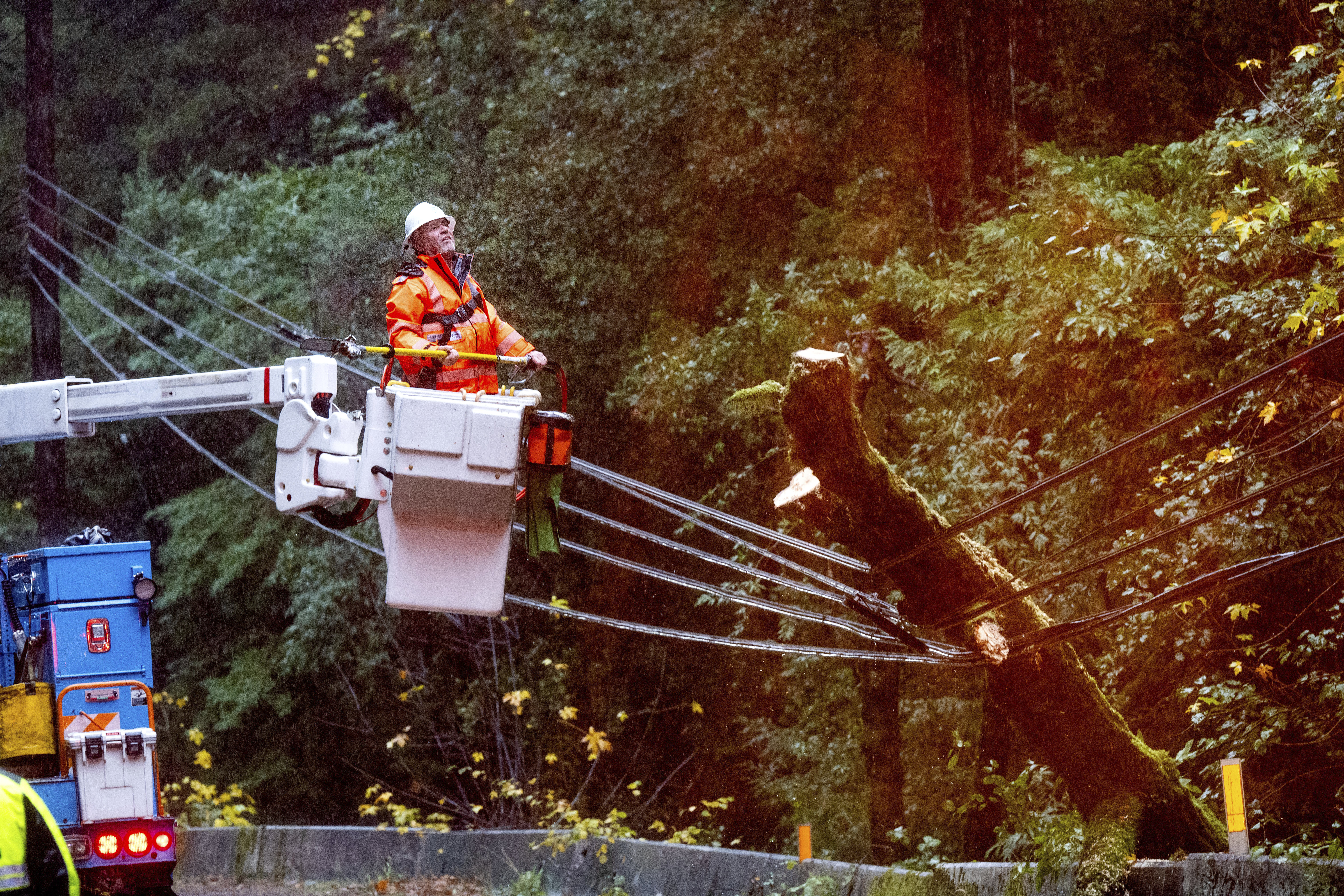 A Pacific Gas & Electric worker pauses while sawing a tree that toppled into power lines during heavy rains on Wednesday, Nov. 20, 2024, in the Occidental community of unincorporated Sonoma County, Calif. (AP Photo/Noah Berger)