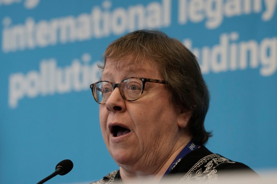 Pamela Miller, Co-chair of the International Pollutants Elimination Network (IPEN), speaks during a press conference with IPEN members at the fifth session of the Intergovernmental Negotiating Committee on Plastic Pollution in Busan, South Korea, Friday, Nov. 29, 2024. (AP Photo/Ahn Young-joon)