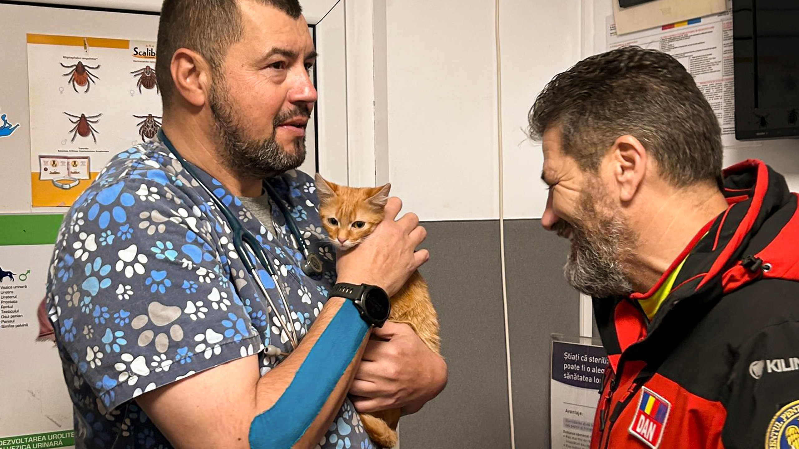 In this image provided by Salvamont Maramures, a Romanian mountain rescue service, Mihai Mulea, a mountain rescuer and veterinarian, speaks to Dan Benga, the head of the Salvamont Maramures rescue servie, as he holds Peach at the Animal Med vet clinic after being rescued along with its owner, 28 year-old Vladislav Duda from Ukraine, three days ago from a deep mountain ravine in Baia Mare, Romania, Monday, Dec. 9, 2024. (Salvamont Maramures via AP)