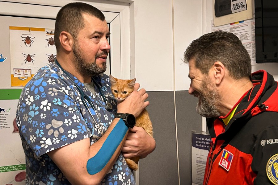 In this image provided by Salvamont Maramures, a Romanian mountain rescue service, Mihai Mulea, a mountain rescuer and veterinarian, speaks to Dan Benga, the head of the Salvamont Maramures rescue servie, as he holds Peach at the Animal Med vet clinic after being rescued along with its owner, 28 year-old Vladislav Duda from Ukraine, three days ago from a deep mountain ravine in Baia Mare, Romania, Monday, Dec. 9, 2024. (Salvamont Maramures via AP)