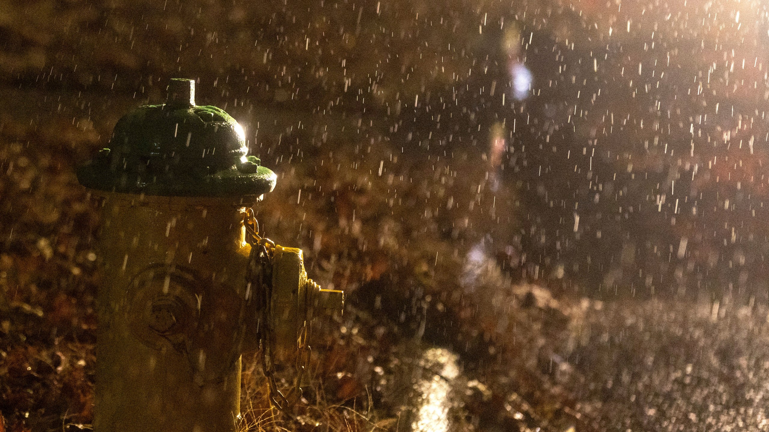 Headlights from a stranded motorist highlight freezing rain that coated surfaces in Omaha, Neb. on Friday, Dec. 13, 2024. (Chris Machian/Omaha World-Herald via AP)