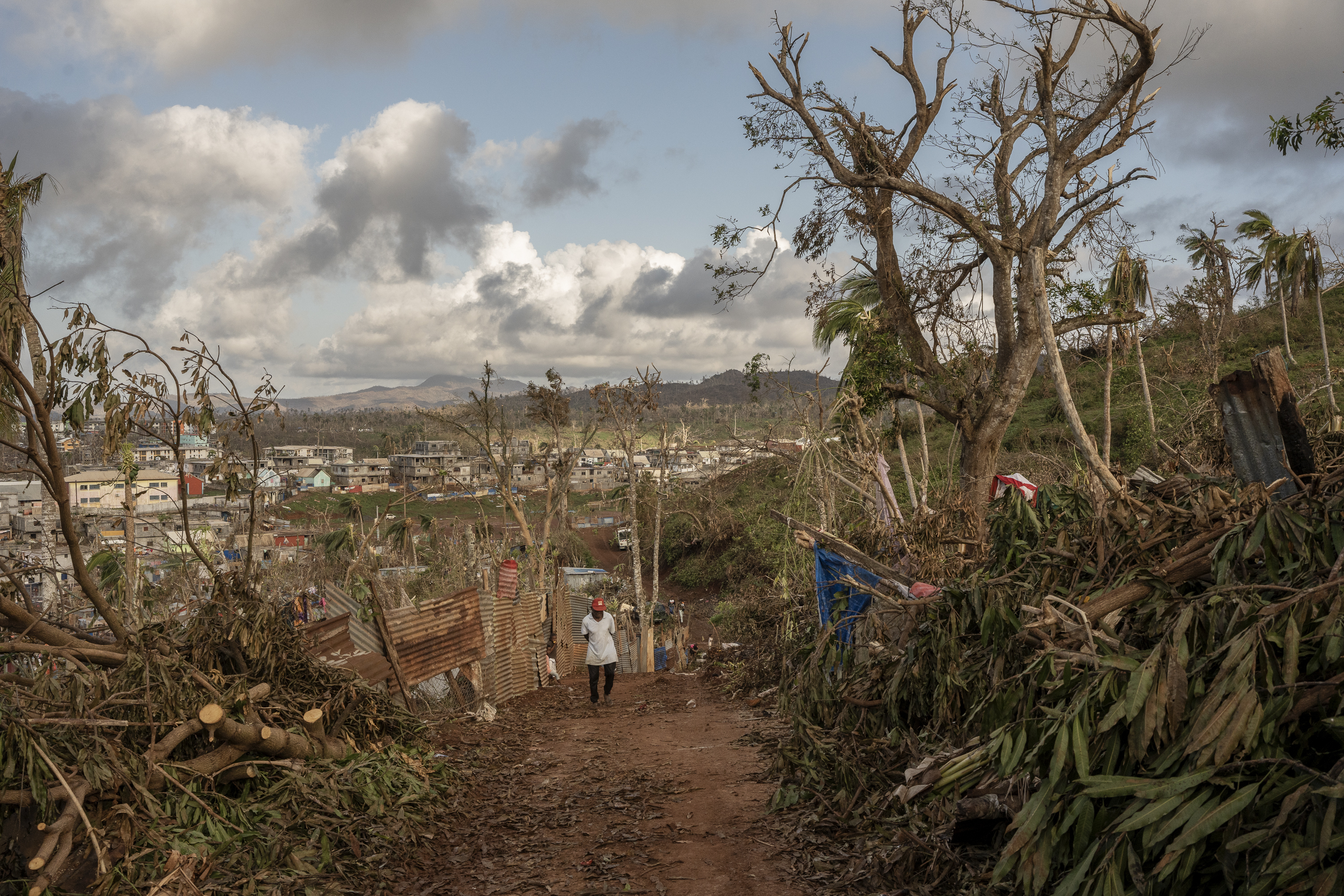 A man walks through shredded trees in the central city of Mirereni, Mayotte, Friday, Dec. 20, 2024. (AP Photo/Adrienne Surprenant