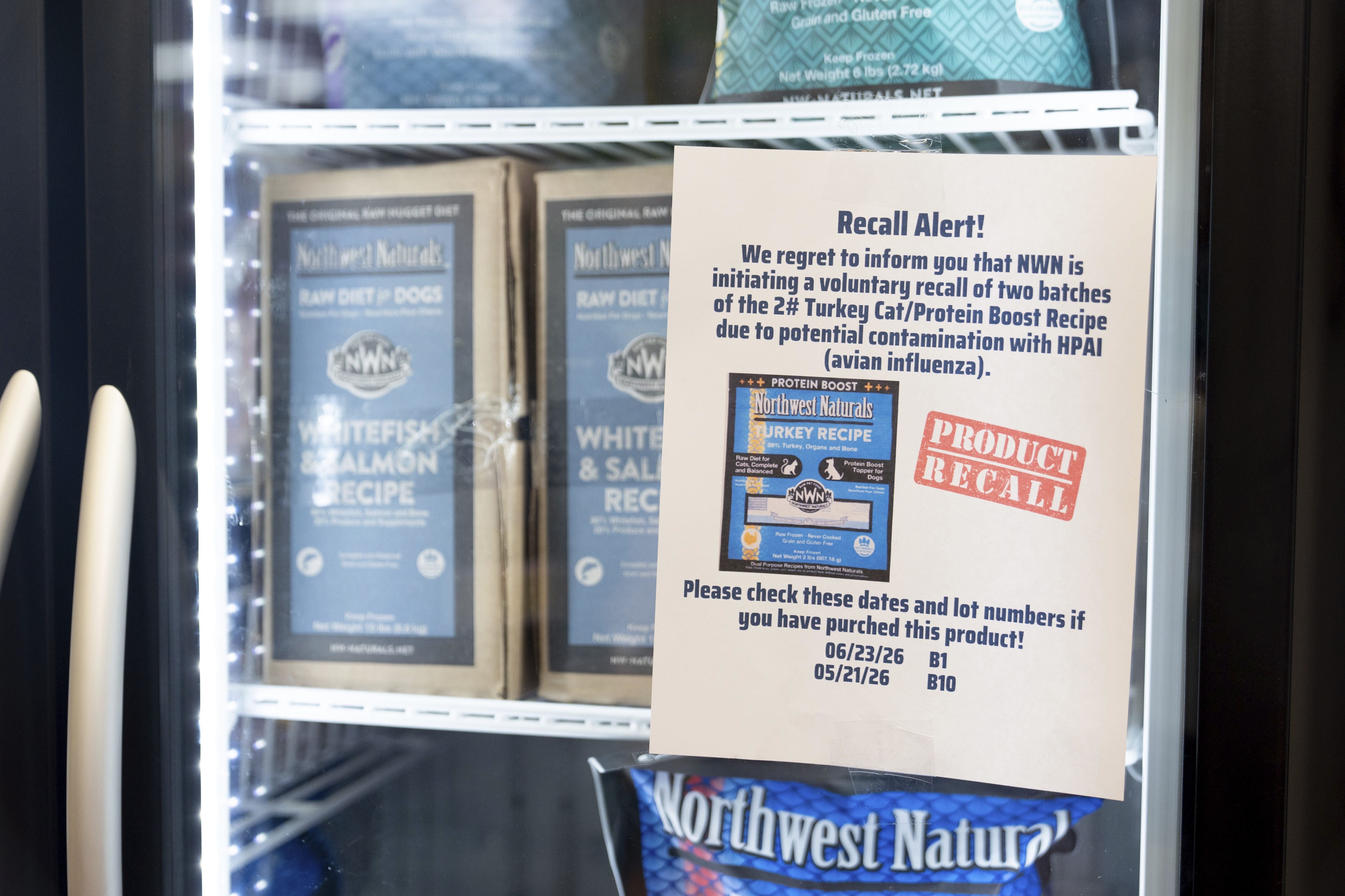 A recall alert is displayed on a refrigerator at a pet store in Tigard, Ore., on Thursday, Dec. 26, 2024, after Northwest Naturals announced a voluntary recall Tuesday of one batch of its 2-pound Feline Turkey Recipe raw frozen pet food after it tested positive for the virus. (AP Photo/Jenny Kane)