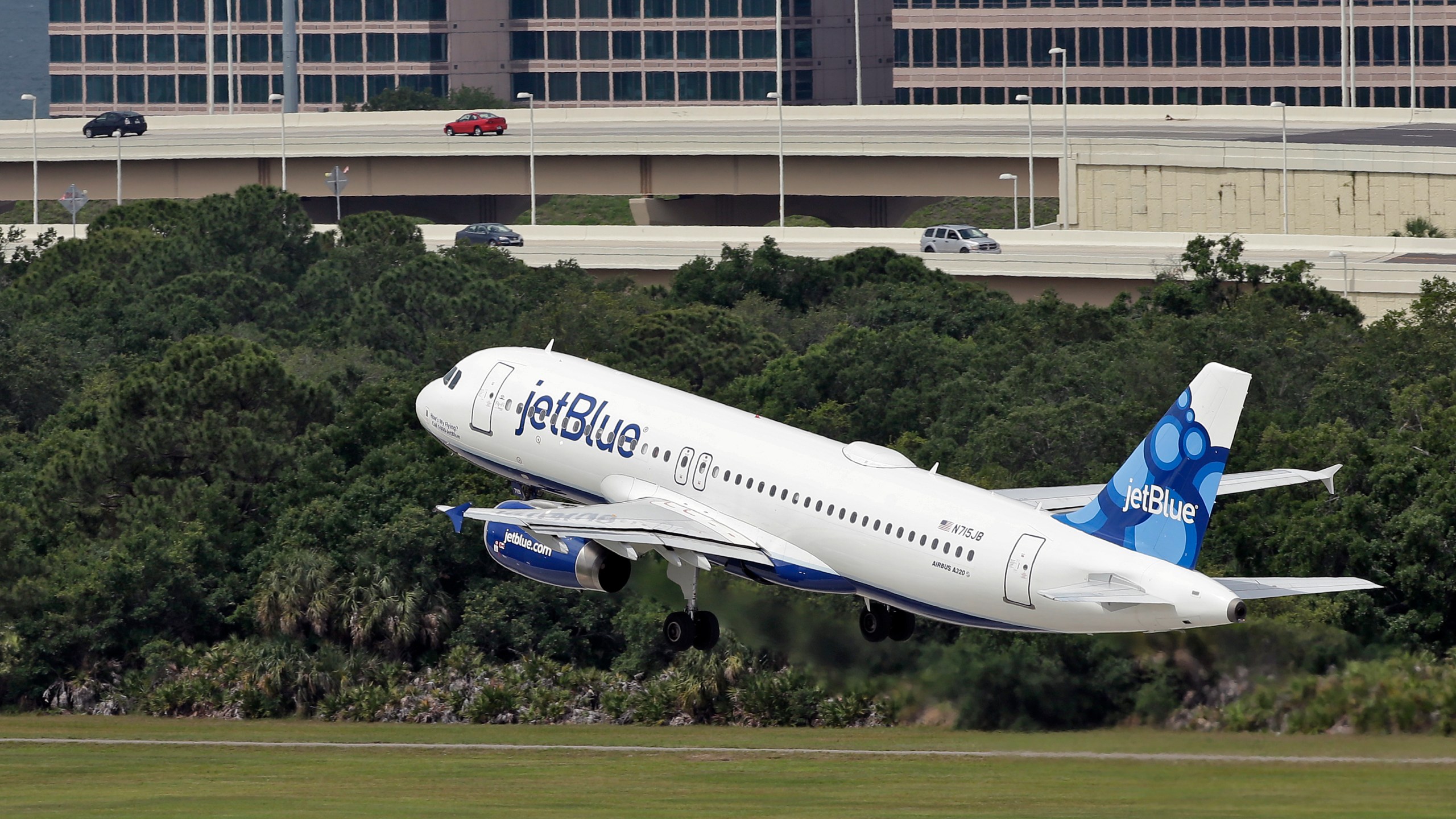 FILE - A JetBlue Airways Airbus A320-232 takes off from the Tampa International Airport in Tampa, Fla., May 15, 2014 (AP Photo/Chris O'Meara, File)