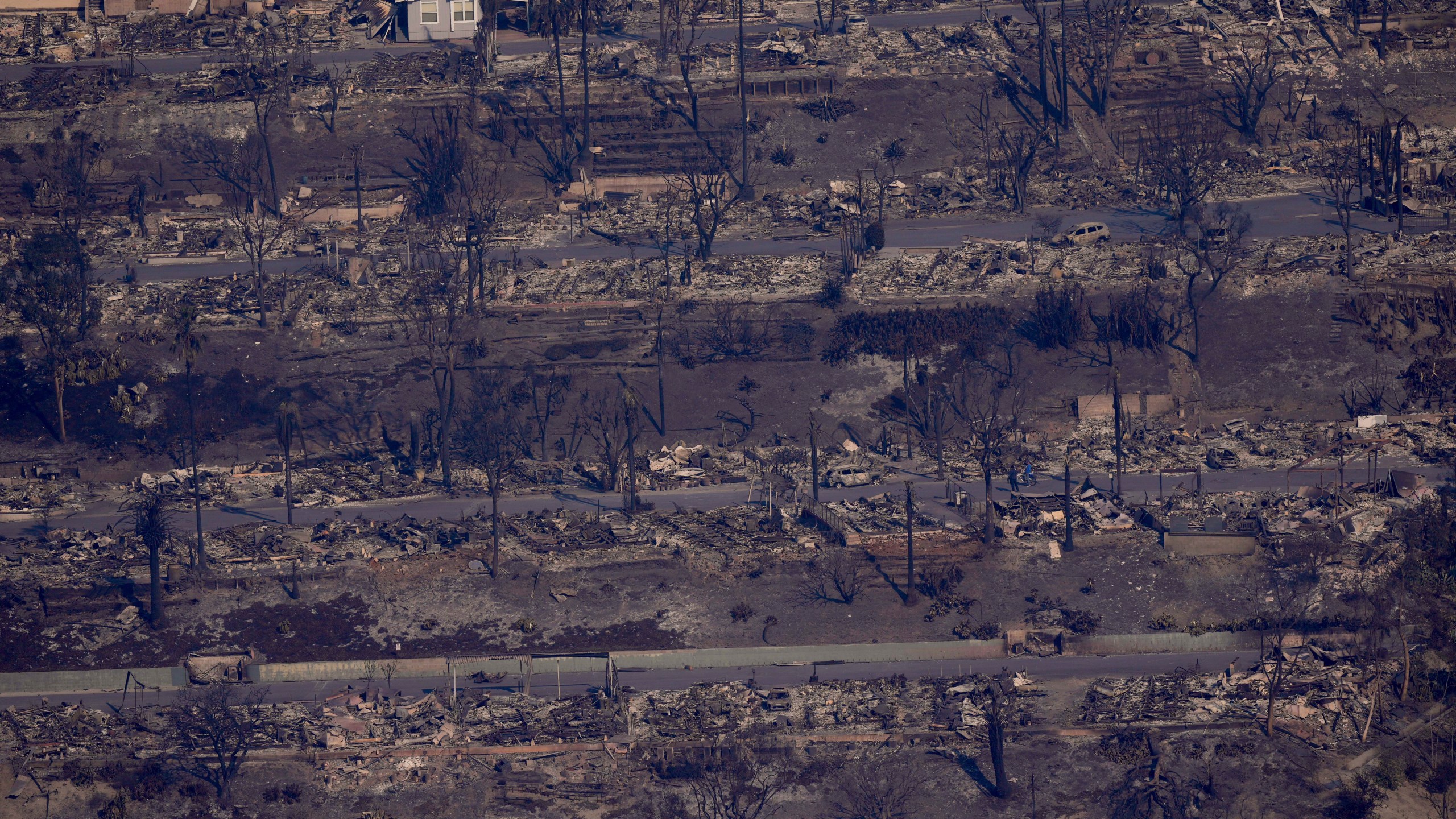 The devastation from the Palisades Fire is seen from the air in the Pacific Palisades neighborhood of Los Angeles, Thursday, Jan. 9, 2025. (AP Photo/Mark J. Terrill)