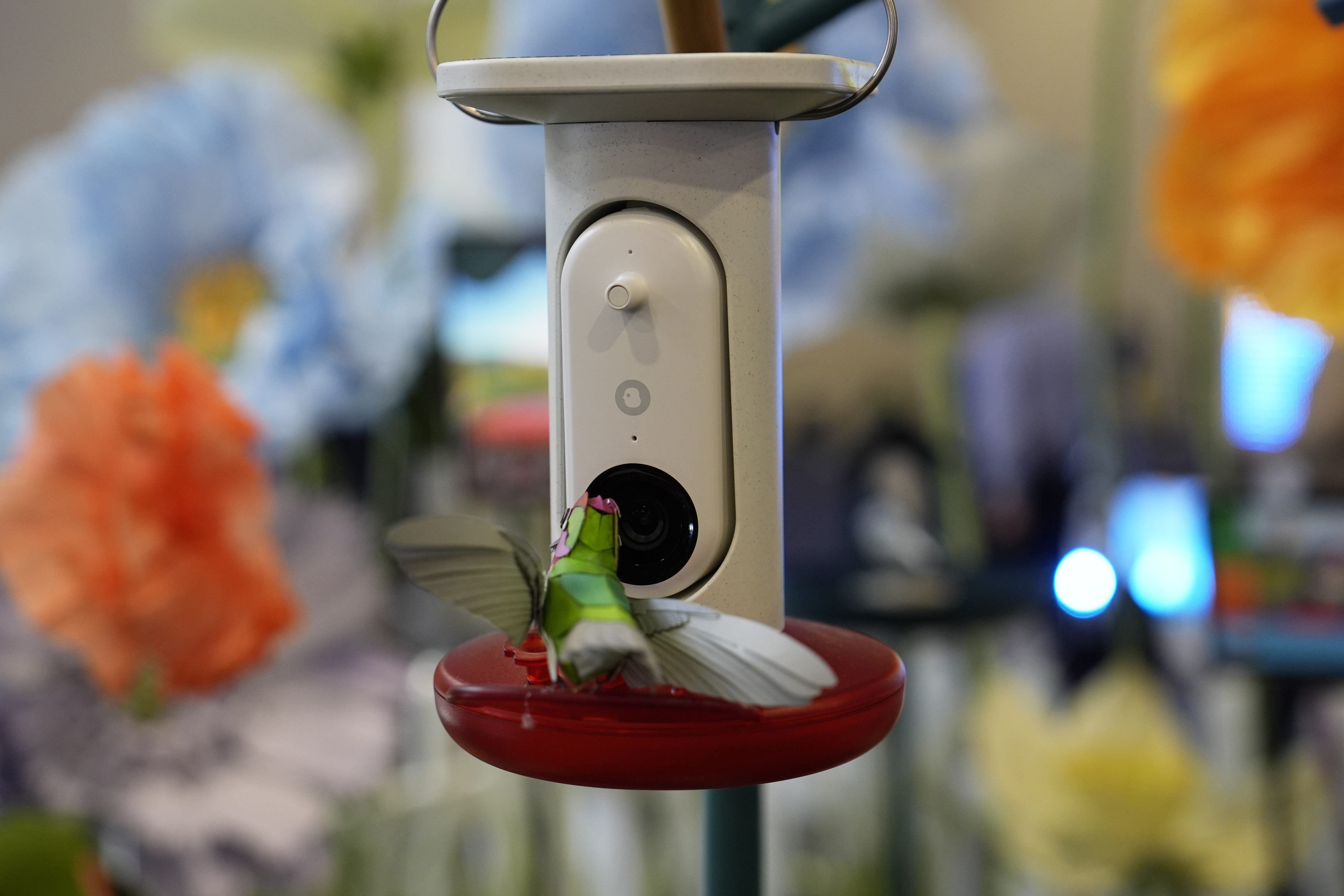 A Bird Buddy smart bird feeder is on display at the Wonder booth during the CES tech show Wednesday, Jan. 8, 2025, in Las Vegas. (AP Photo/John Locher)